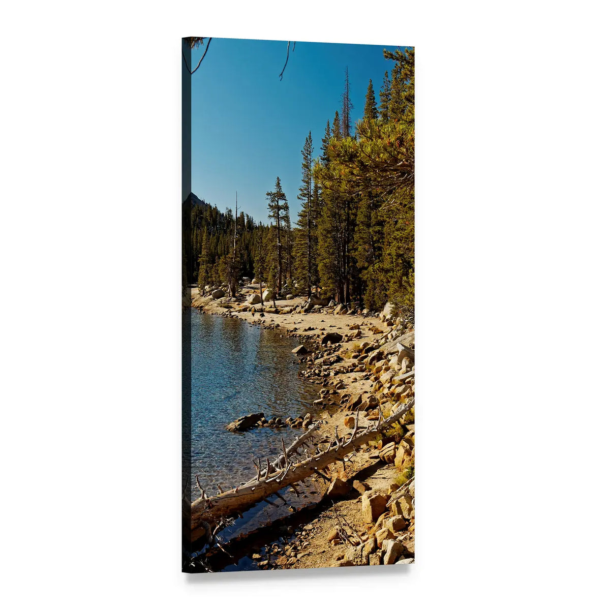 Yosemite Lake with Pine Trees Vertical Canvas Wall Art, 1 panel 1 Vertical layout gallery wrapped canvas set, angled product view