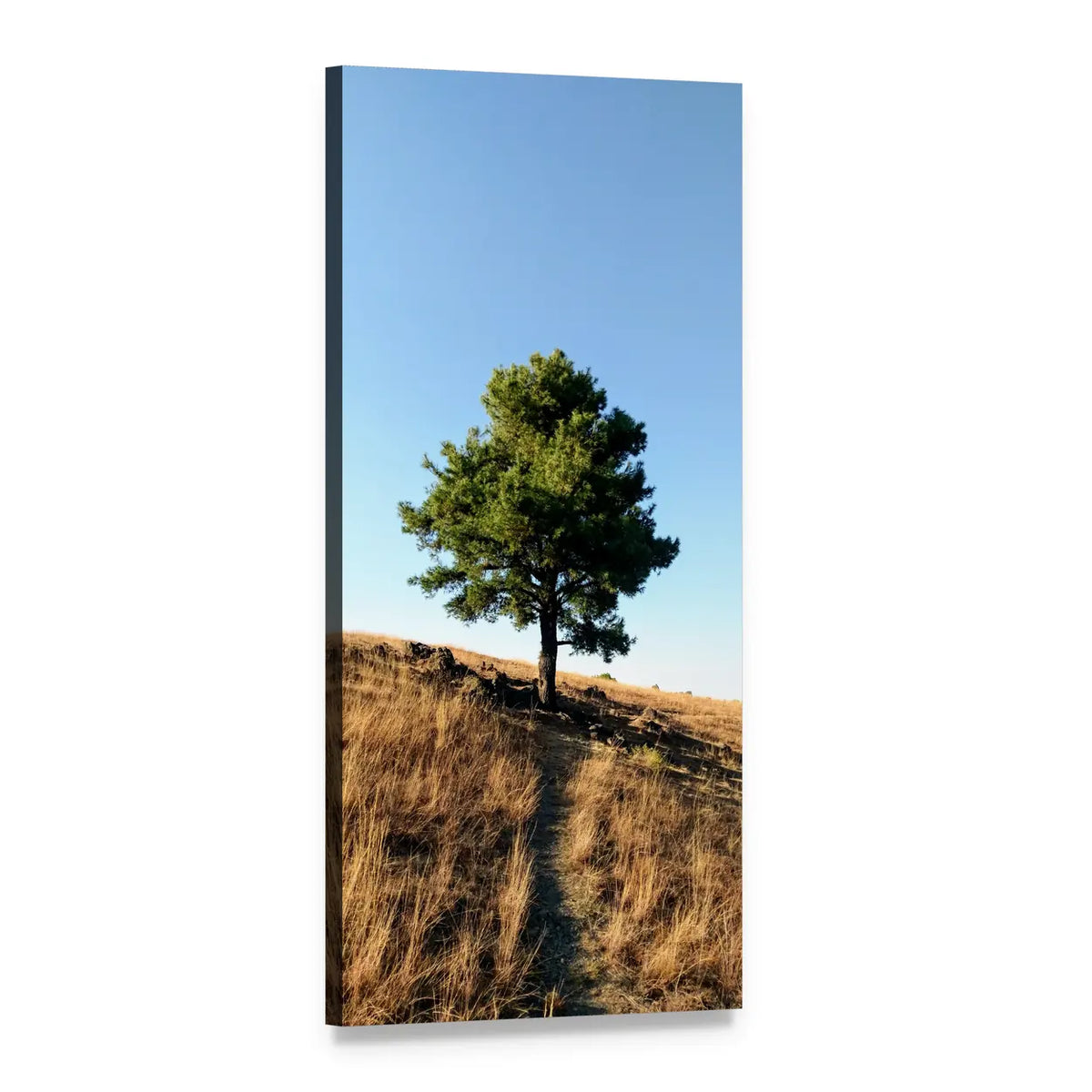 Lone Tree on a Hill Vertical Canvas Wall Art, 1 panel 1 Vertical layout gallery wrapped canvas set, angled product view
