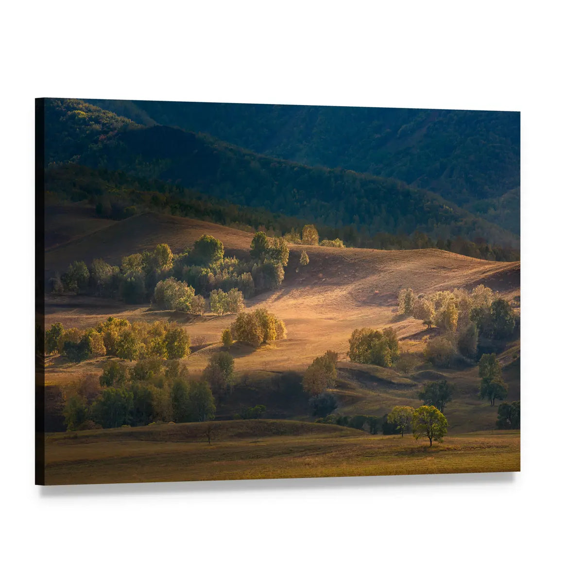 Bashang Plateau Grasslands Inner Mongolia Canvas Wall Art, single panel gallery wrapped canvas, angled product view