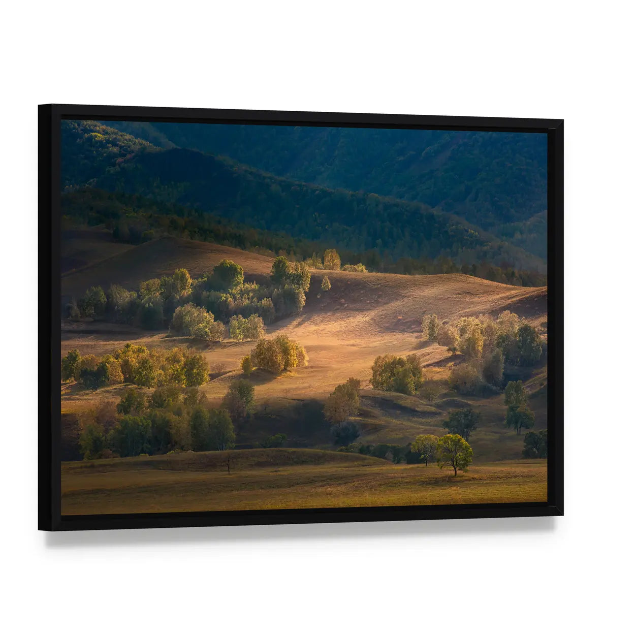 Bashang Plateau Grasslands Inner Mongolia Canvas Wall Art, framed canvas in a black floater frame, angled product view