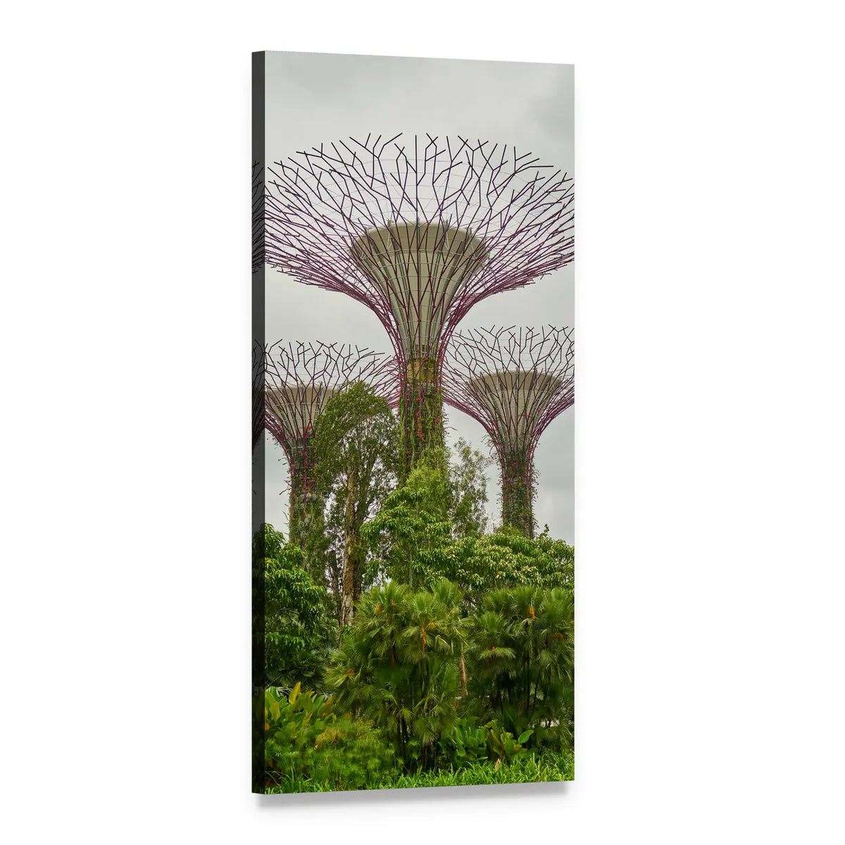 Supertrees at Gardens by the Bay, Singapore Vertical Canvas Wall Art, 1 panel 1 Vertical layout gallery wrapped canvas set, angled product view