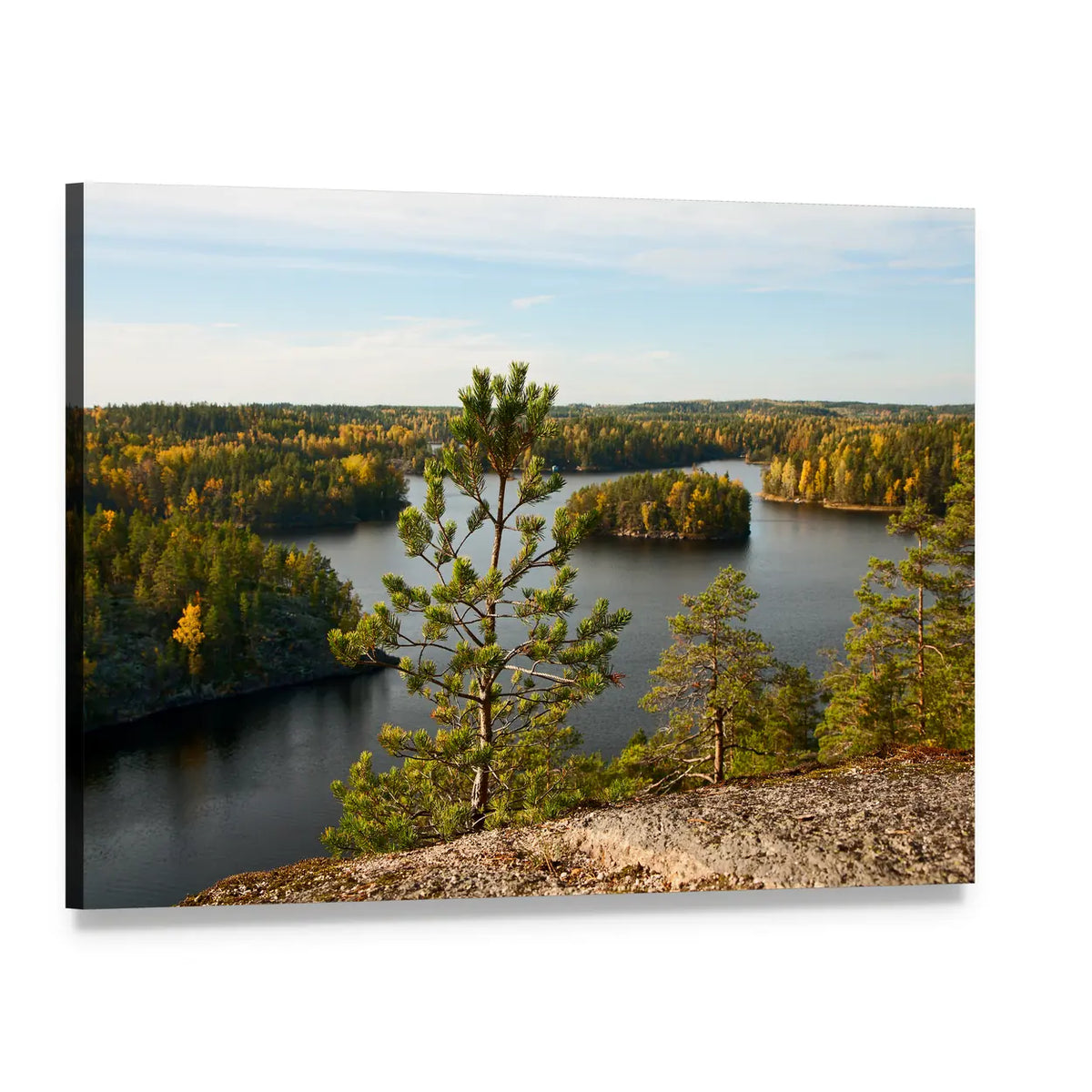 Autumn Pine Lake Landscape Canvas Wall Art, single panel gallery wrapped canvas, angled product view