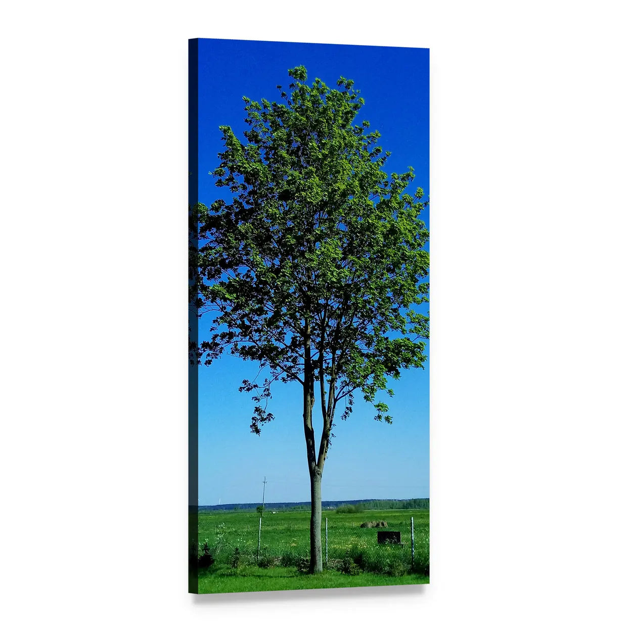 Tree in a Green Meadow Vertical Canvas Wall Art, 1 panel 1 Vertical layout gallery wrapped canvas set, angled product view