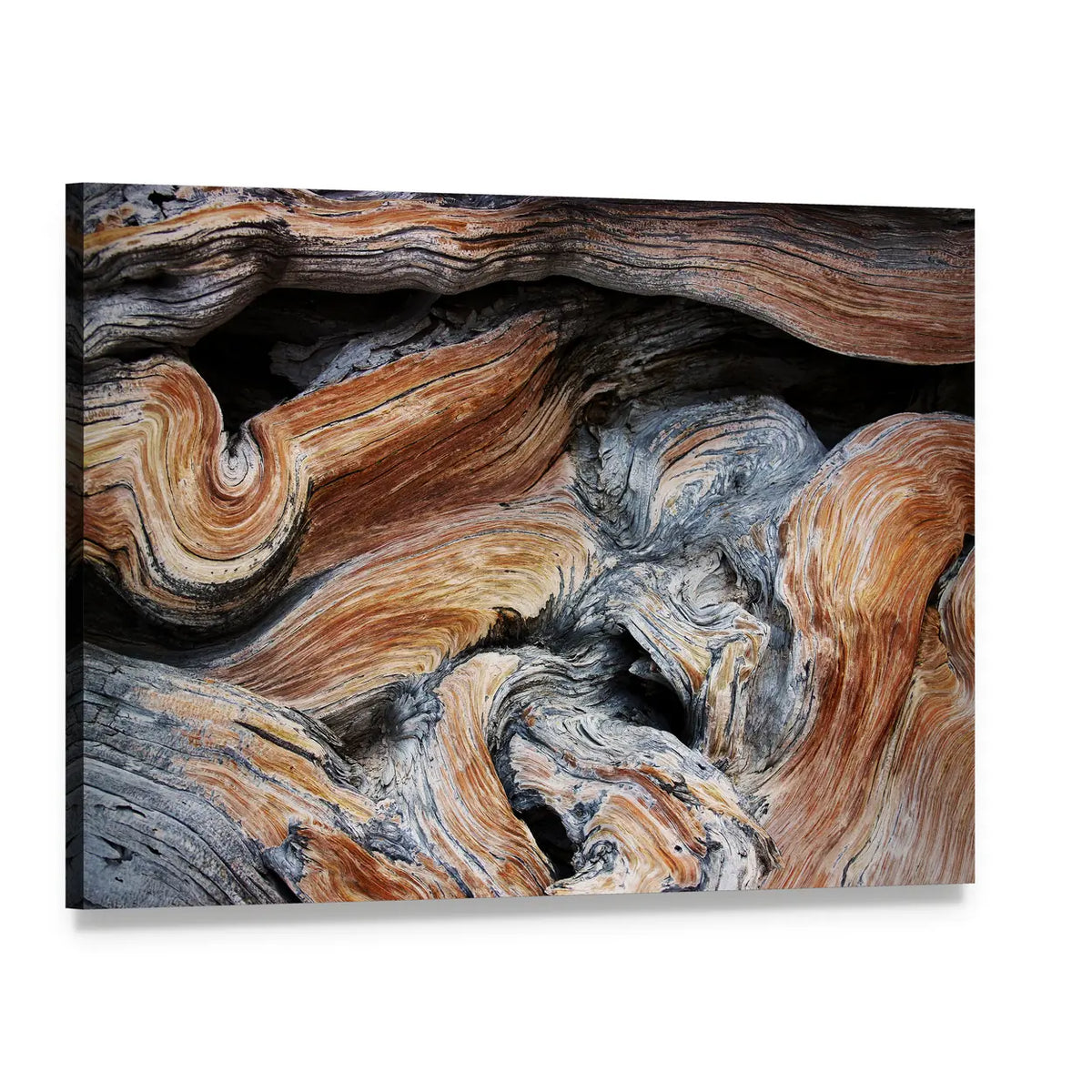 Old Juniper Wood Texture Canvas Wall Art, single panel gallery wrapped canvas, angled product view
