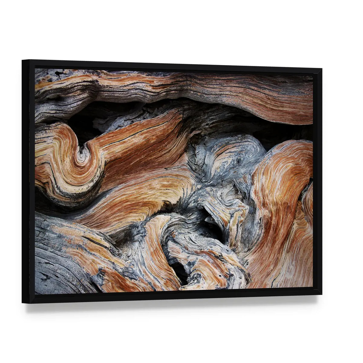 Old Juniper Wood Texture Canvas Wall Art, framed canvas in a black floater frame, angled product view