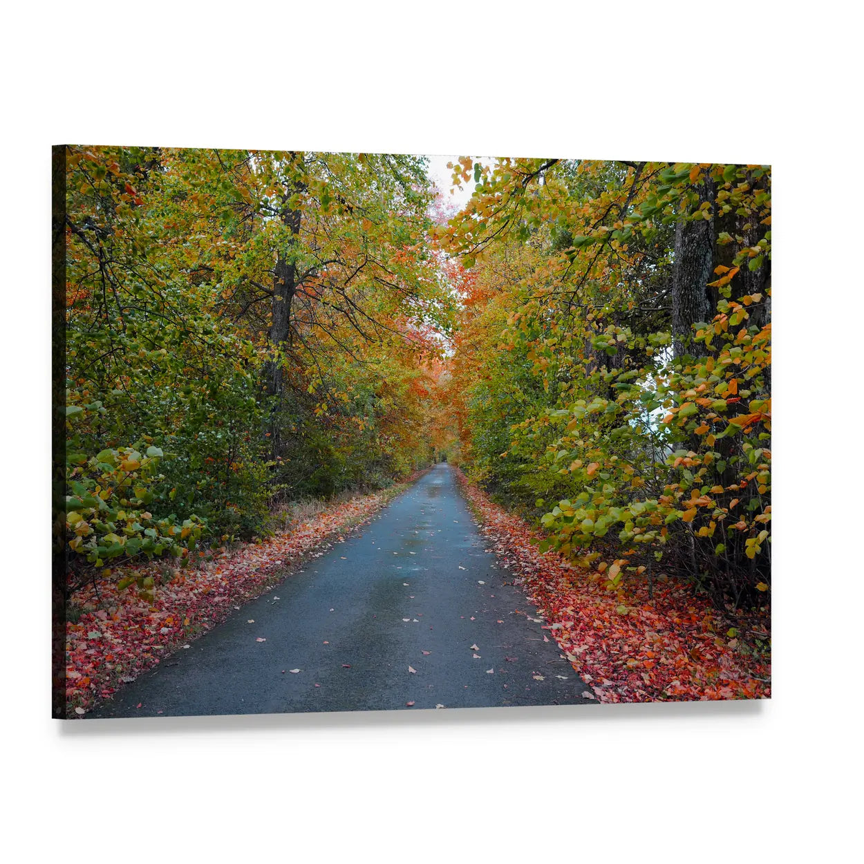 Quiet Leafy Country Lane Canvas Wall Art, single panel gallery wrapped canvas, angled product view