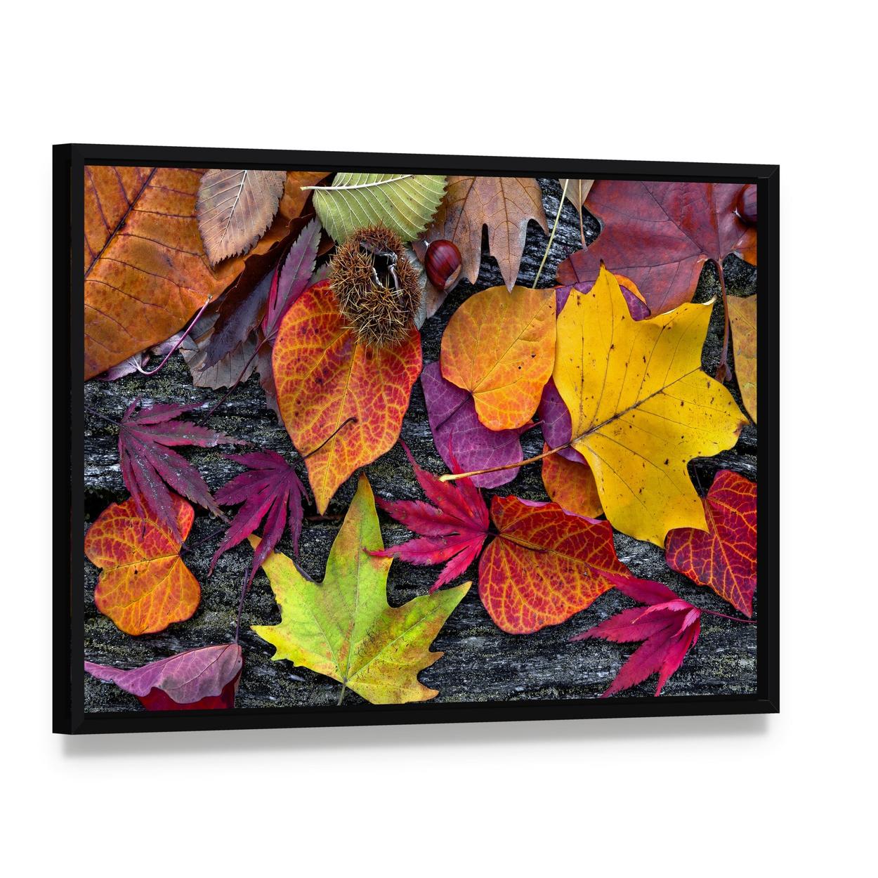 Colorful Autumn Leaves Canvas Wall Art, framed canvas in a black floater frame, angled product view