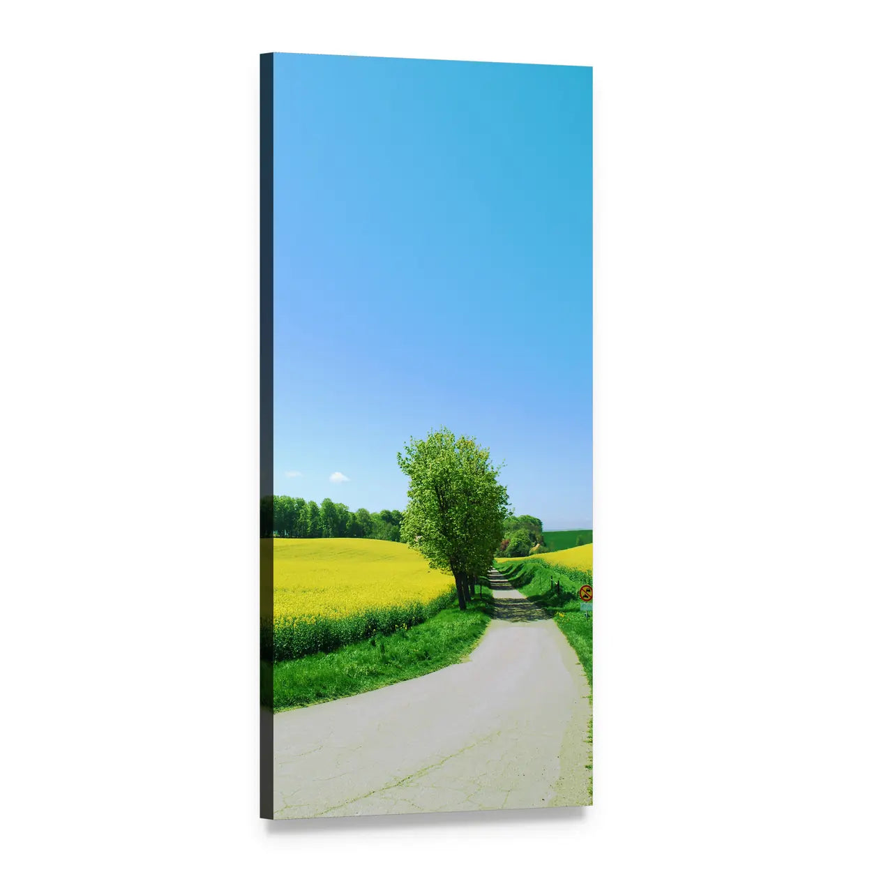 Winding Gravel Path Through Canola Field Vertical Canvas Wall Art, 1 panel 1 Vertical layout gallery wrapped canvas set, angled product view