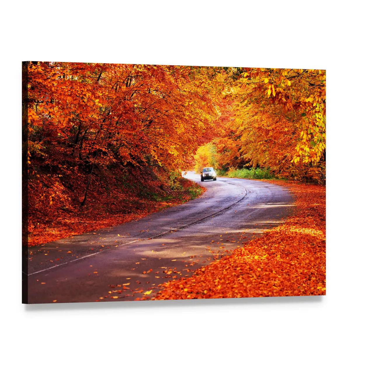 Sunny Red Autumn Road with White Car Canvas Wall Art, single panel gallery wrapped canvas, angled product view