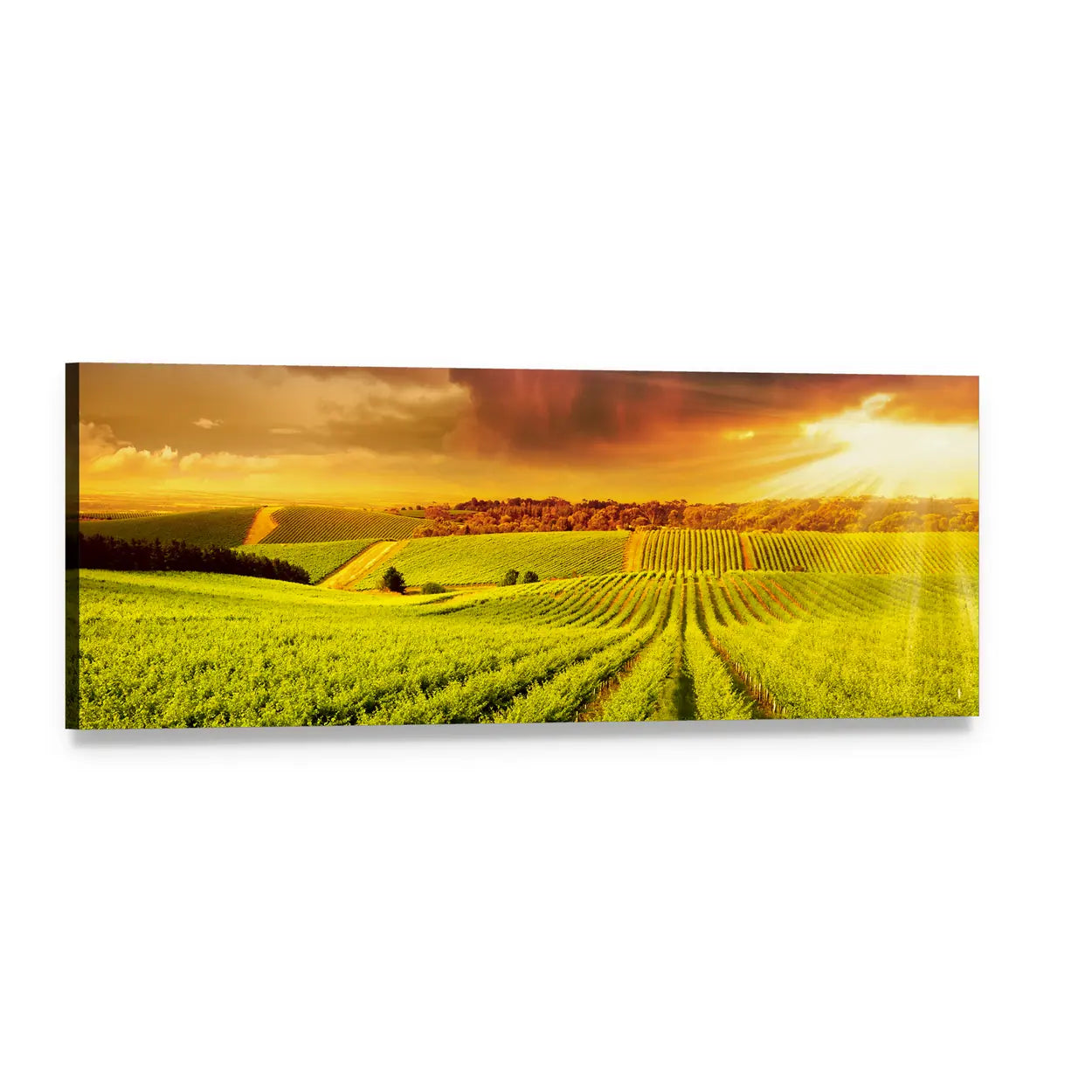 South Australia Vineyard Sunset Panoramic Canvas Wall Art, single panel gallery wrapped canvas, angled product view