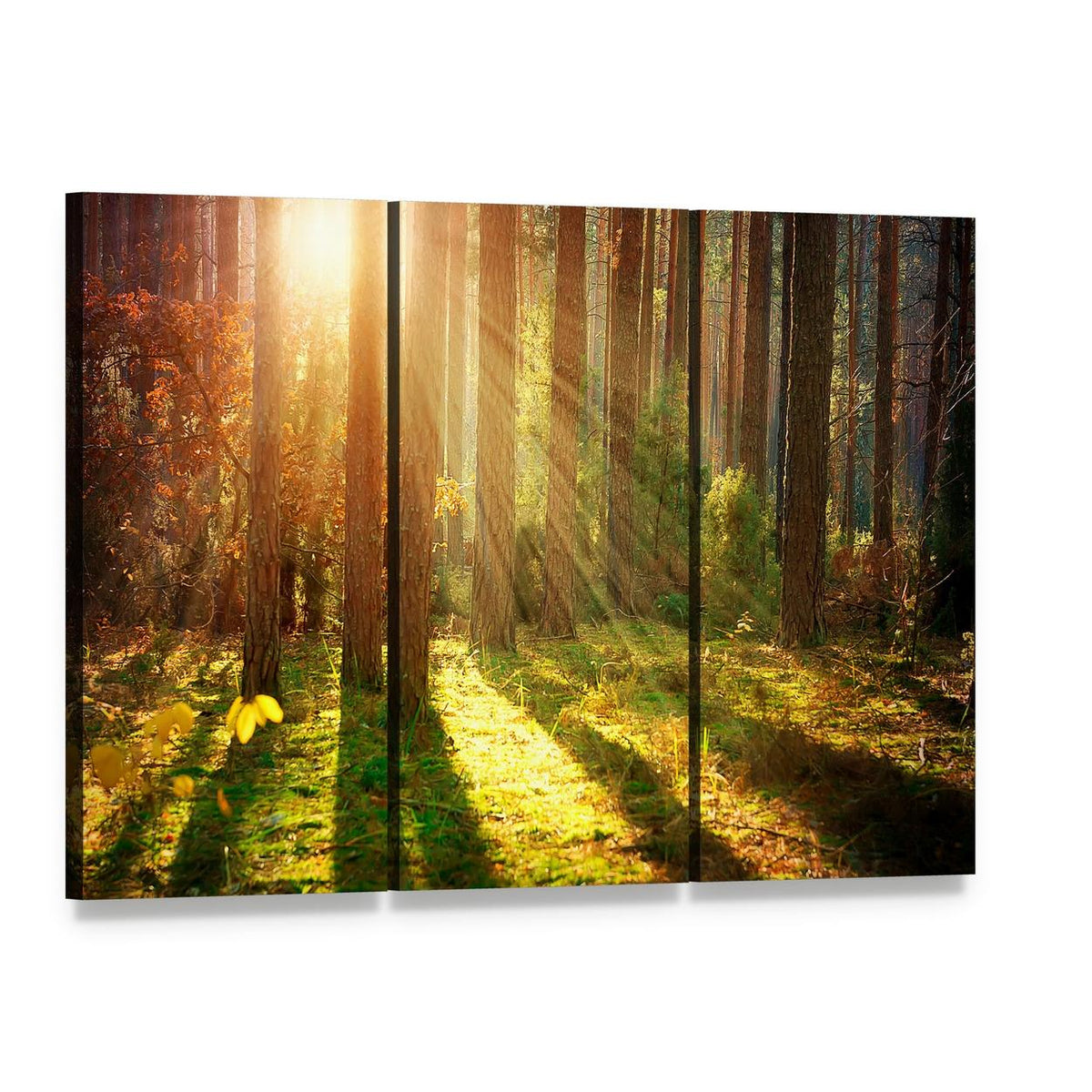 Misty Forest in Autumn Sunlight Canvas Wall Art, 3 panel 3 Horizontal layout gallery wrapped canvas set, angled product view