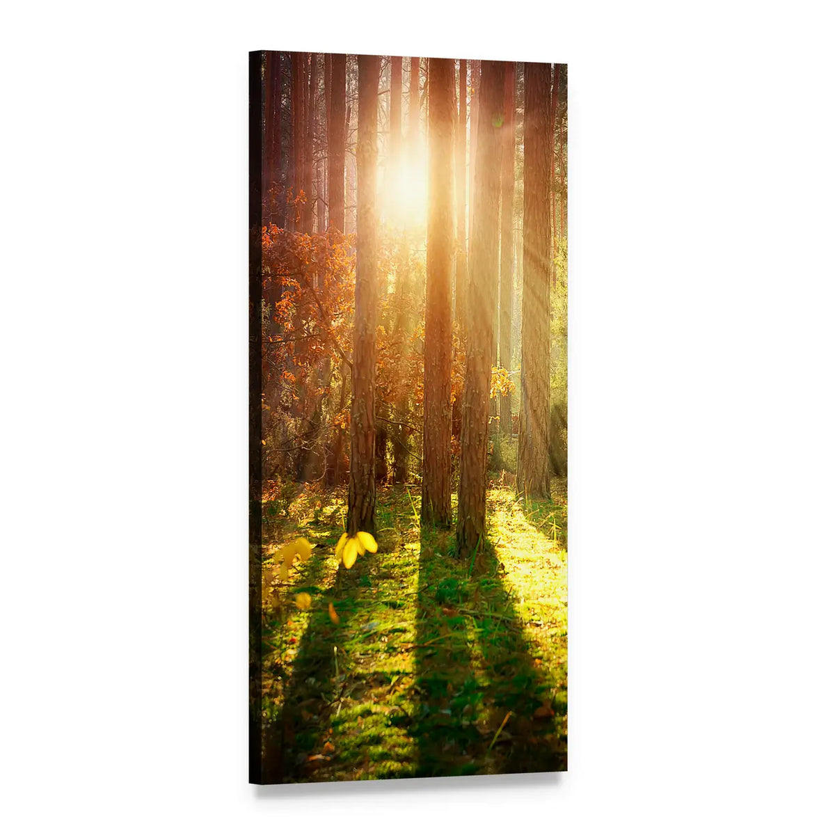 Sunlit Misty Autumn Forest Vertical Canvas Wall Art, 1 panel 1 Vertical layout gallery wrapped canvas set, angled product view