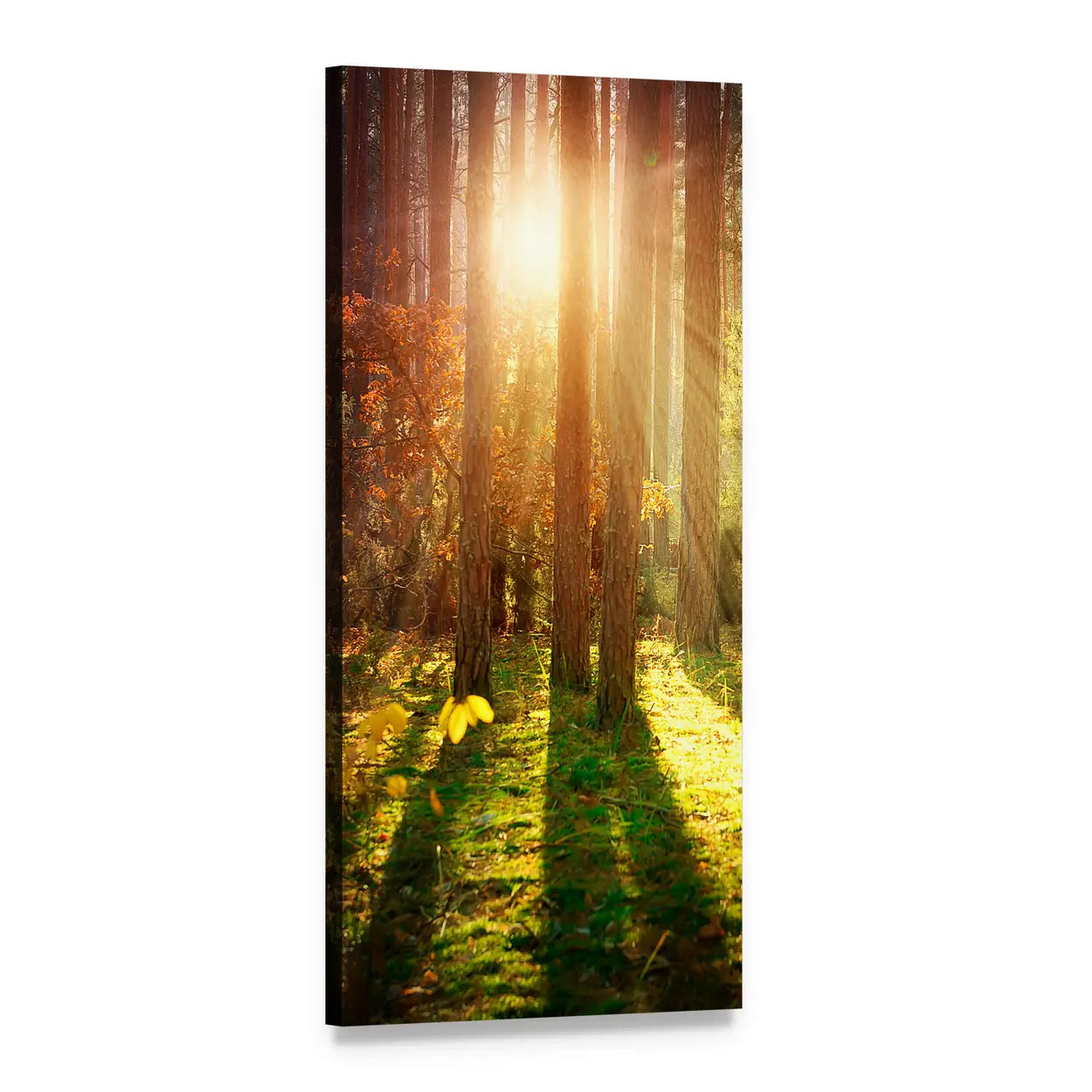 Sunlit Misty Autumn Forest Vertical Canvas Wall Art, 1 panel 1 Vertical layout gallery wrapped canvas set, angled product view