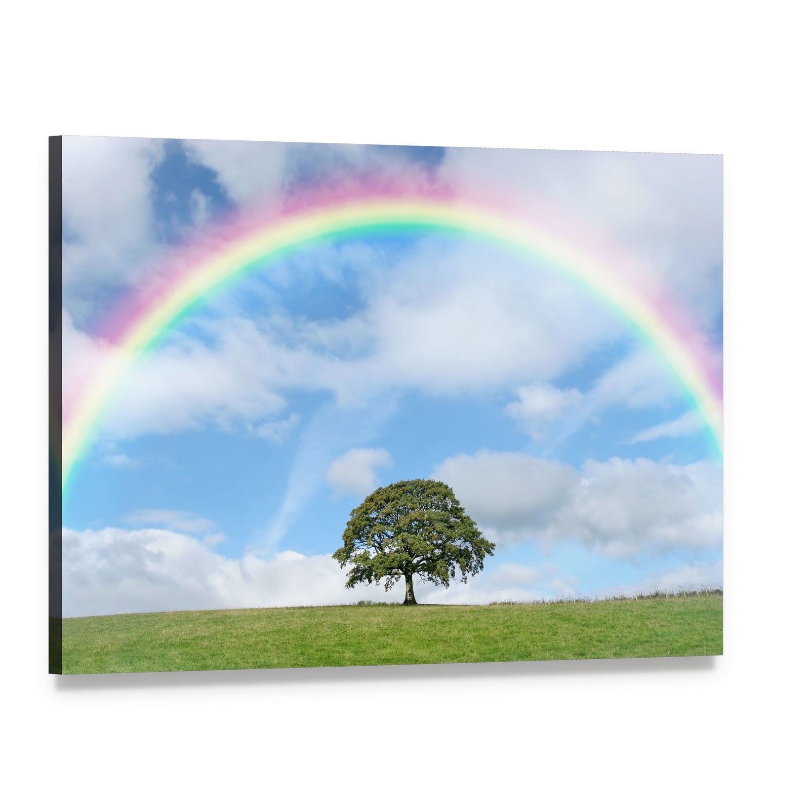 Oak Tree Under Rainbow Canvas Wall Art, single panel gallery wrapped canvas, angled product view