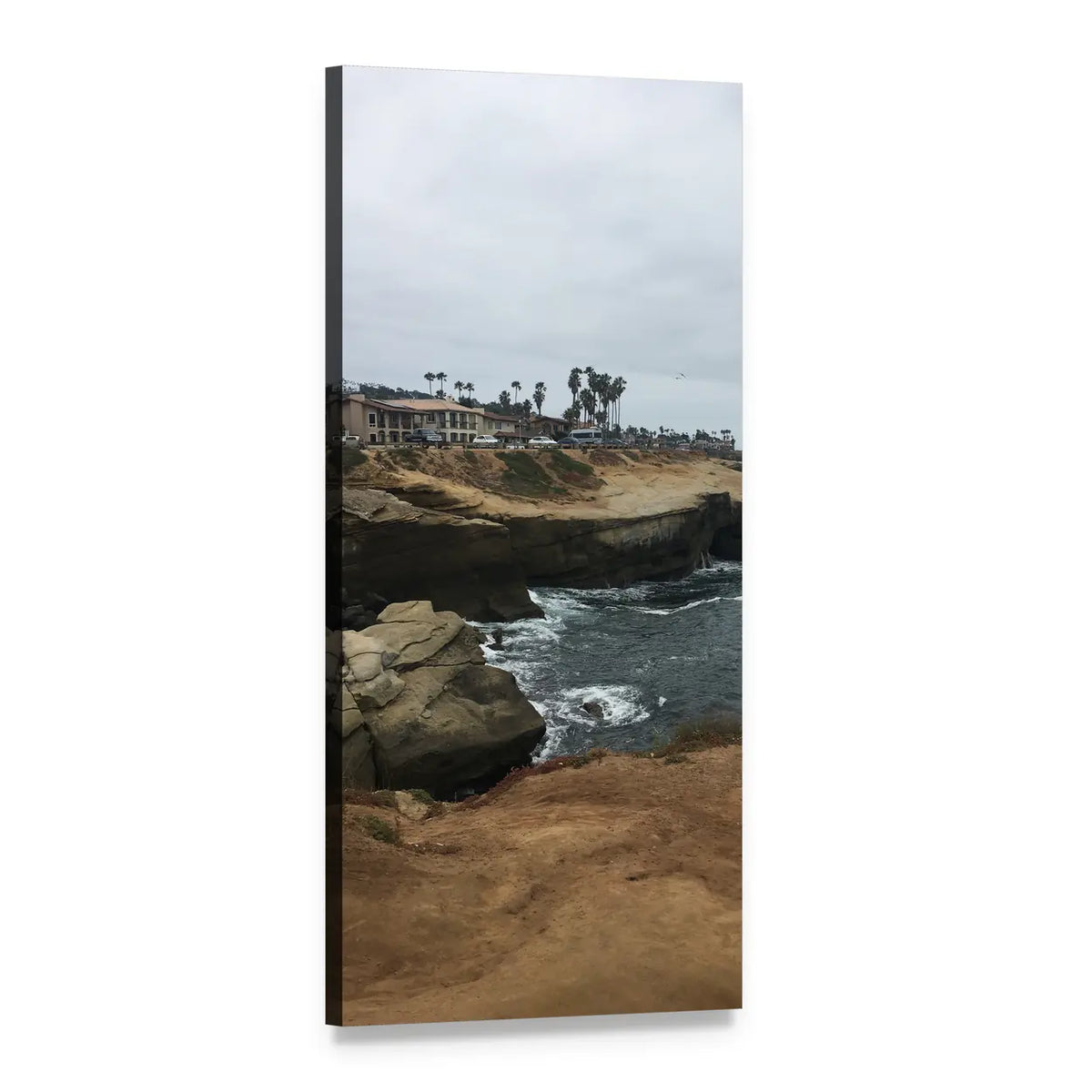 San Diego Coastal Cliffs with Palm Trees Vertical Canvas Wall Art, 1 panel 1 Vertical layout gallery wrapped canvas set, angled product view