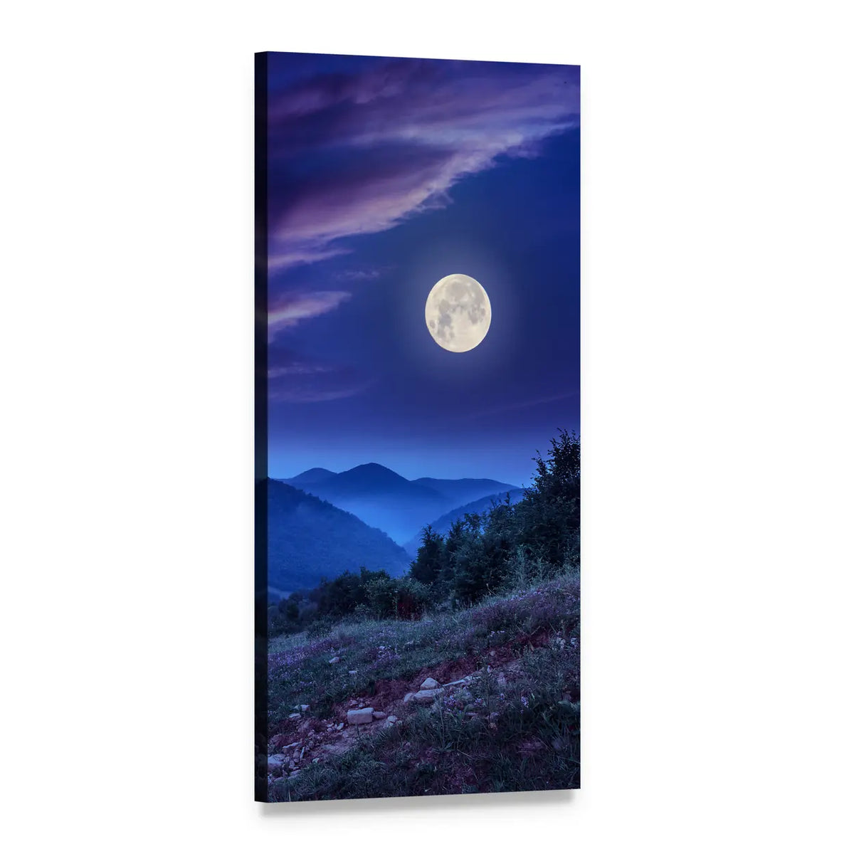Forest on Steep Mountain Slope Vertical Canvas Wall Art, 1 panel 1 Vertical layout gallery wrapped canvas set, angled product view