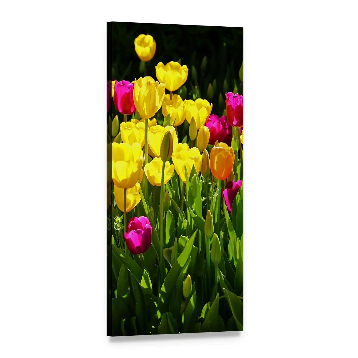 Vibrant Tulip Close-up Vertical Canvas Wall Art, 1 panel 1 Vertical layout gallery wrapped canvas set, angled product view