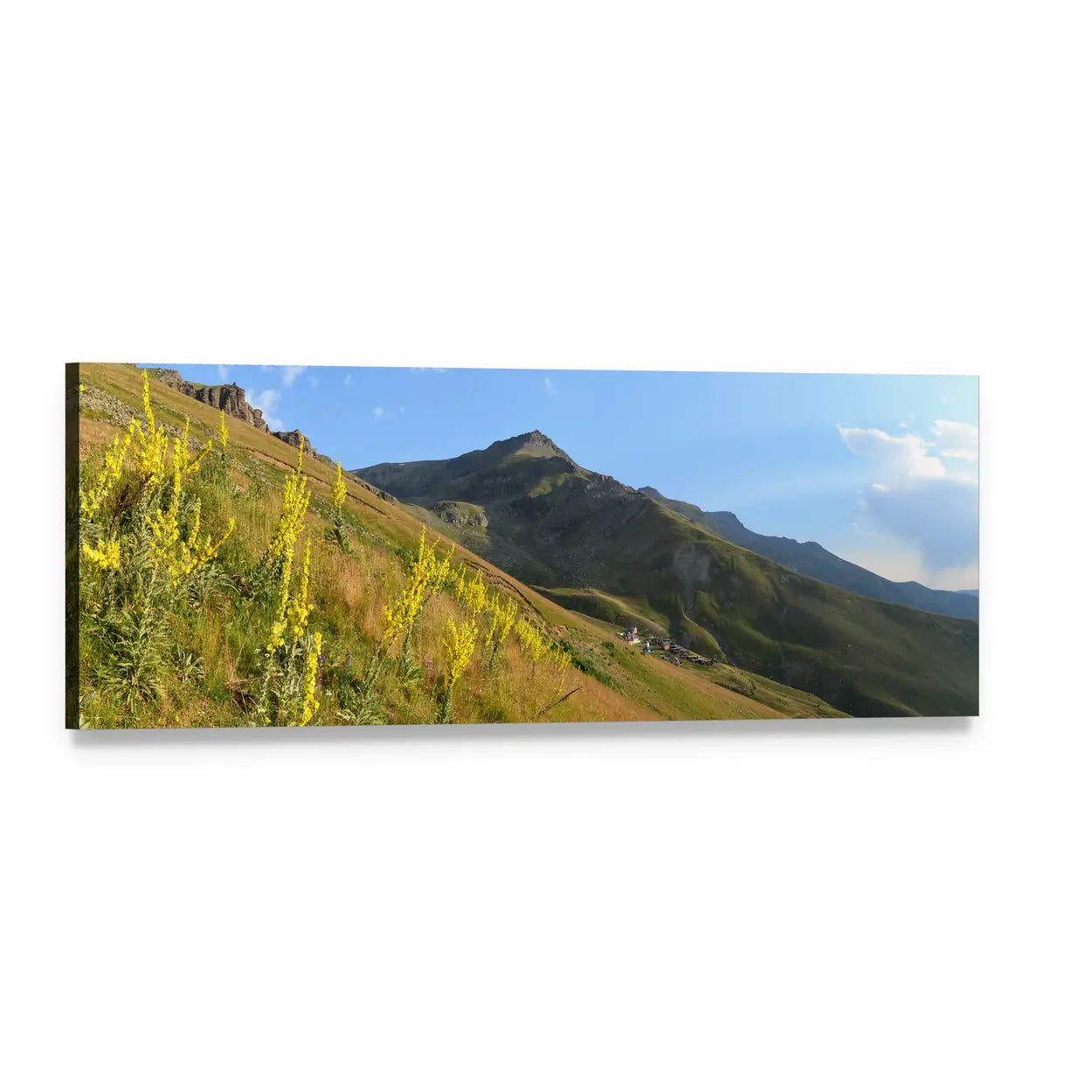 Mountain Ridge with Yellow Wildflowers Panoramic Canvas Wall Art, single panel gallery wrapped canvas, angled product view