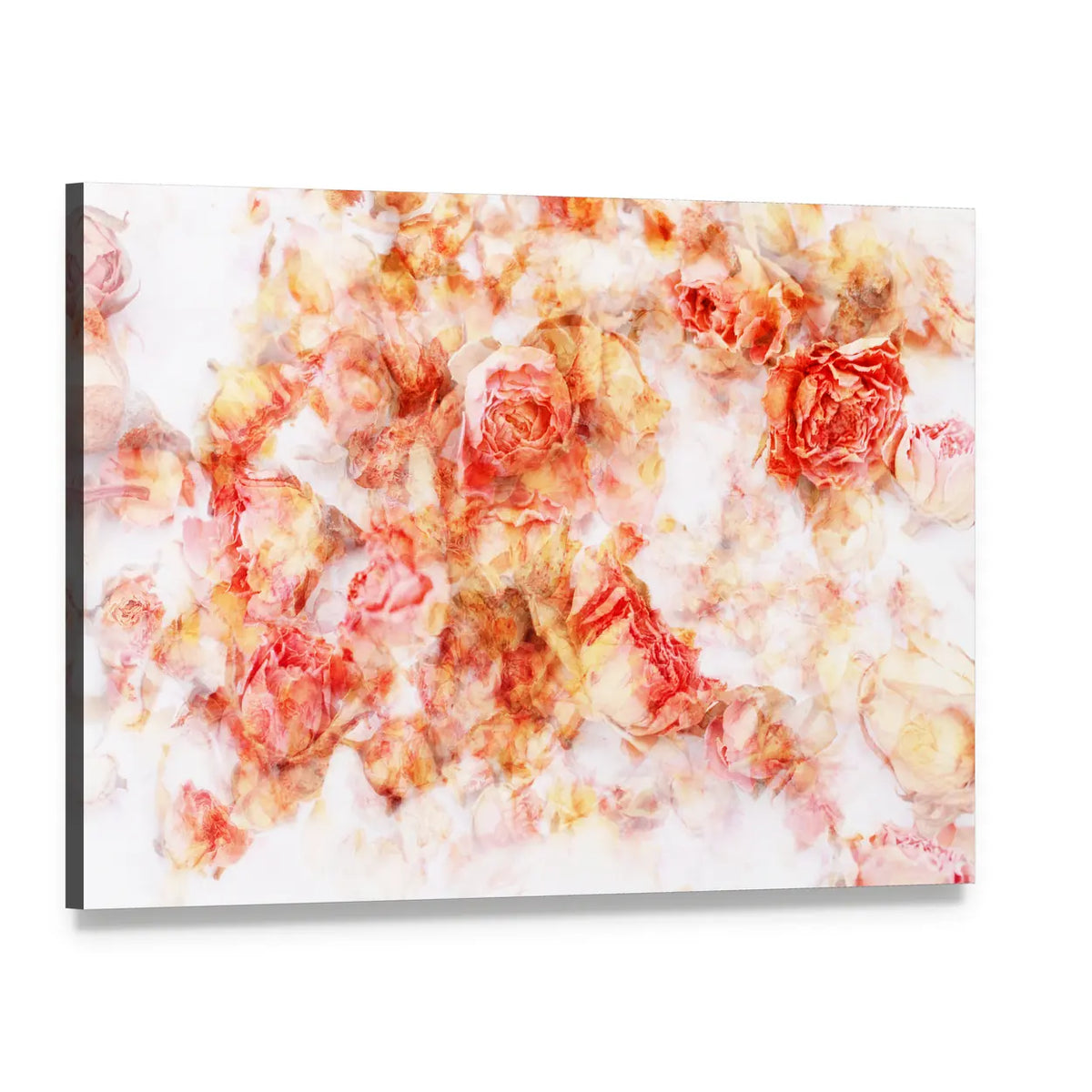 Dry Roses Watercolor Floral Canvas Wall Art, single panel gallery wrapped canvas, angled product view