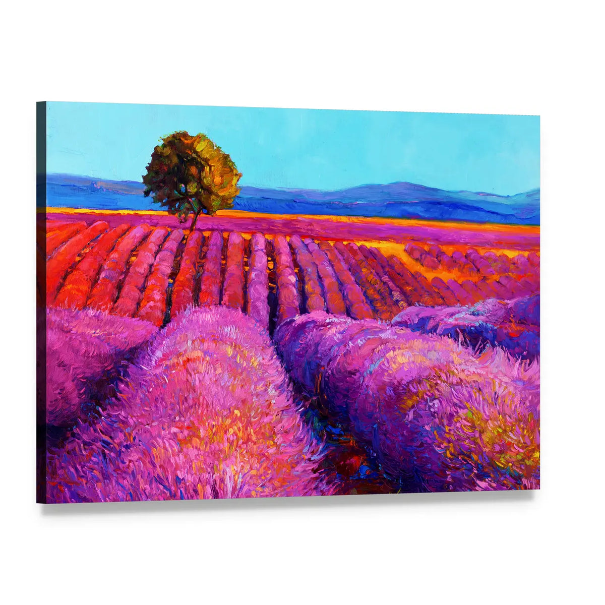 Impressionistic Lavender Field with Lone Tree Canvas Wall Art, single panel gallery wrapped canvas, angled product view