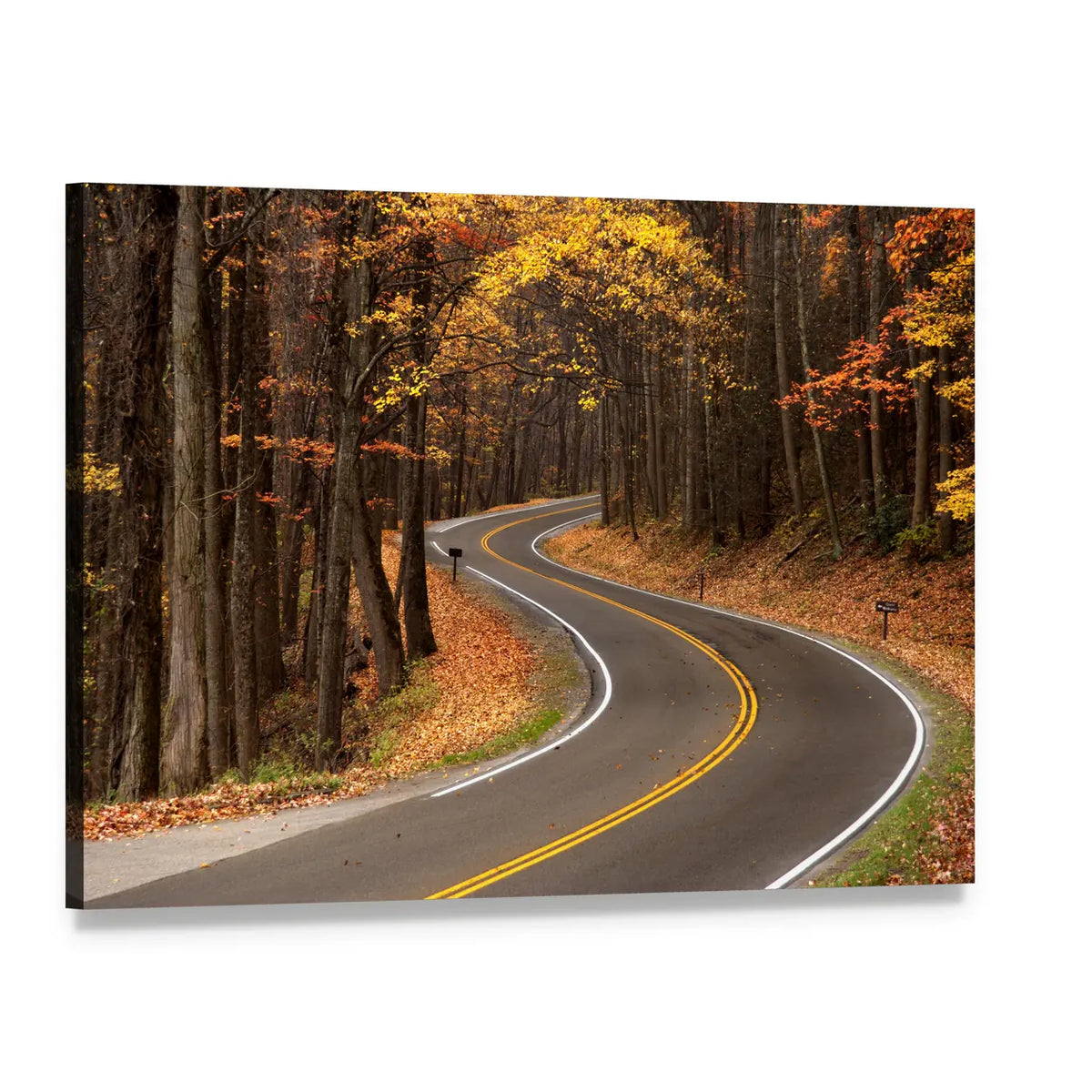 S-curve Road in Great Smokey Mountains Canvas Wall Art, single panel gallery wrapped canvas, angled product view