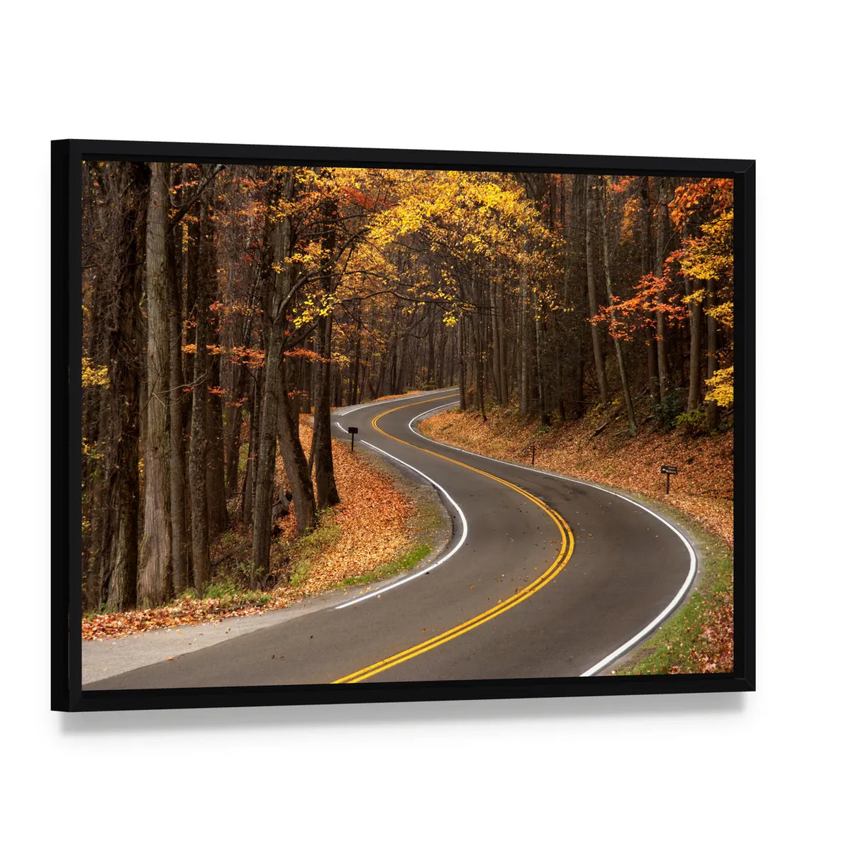 S-curve Road in Great Smokey Mountains Canvas Wall Art, framed canvas in a black floater frame, angled product view