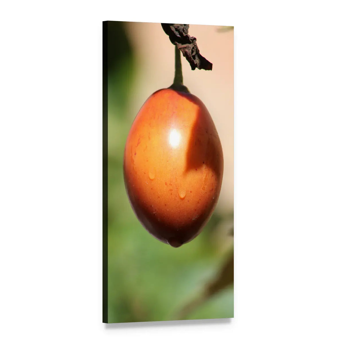 Tamarillo Hanging Fruit Close-up Vertical Canvas Wall Art, 1 panel 1 Vertical layout gallery wrapped canvas set, angled product view