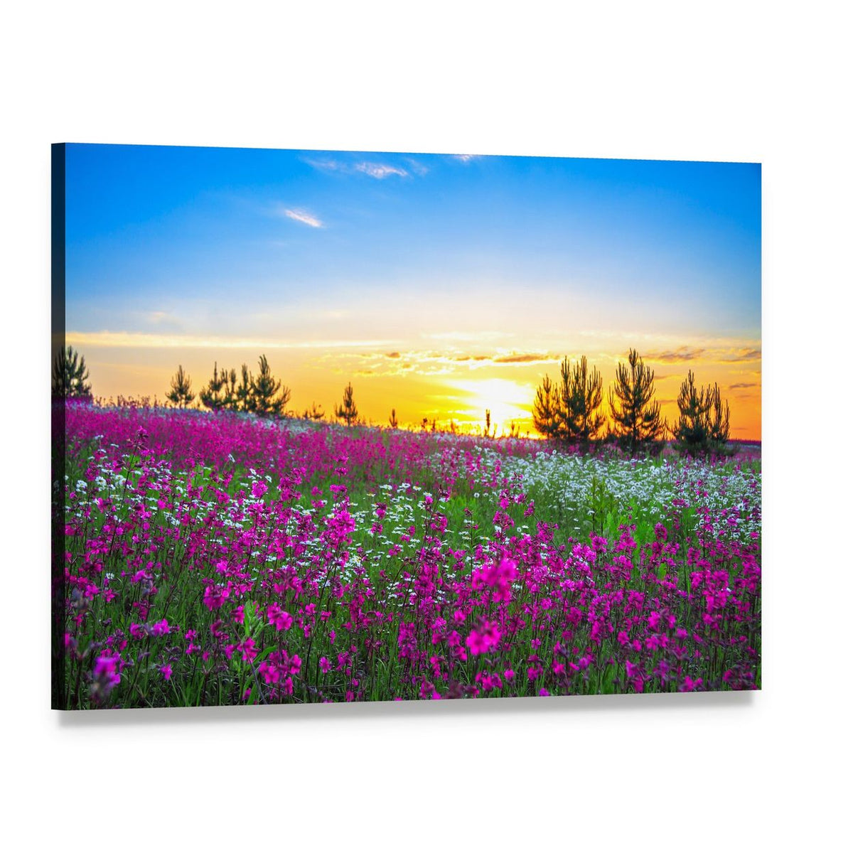 Sunrise and Flowers Scenery Canvas Wall Art, single panel gallery wrapped canvas, angled product view
