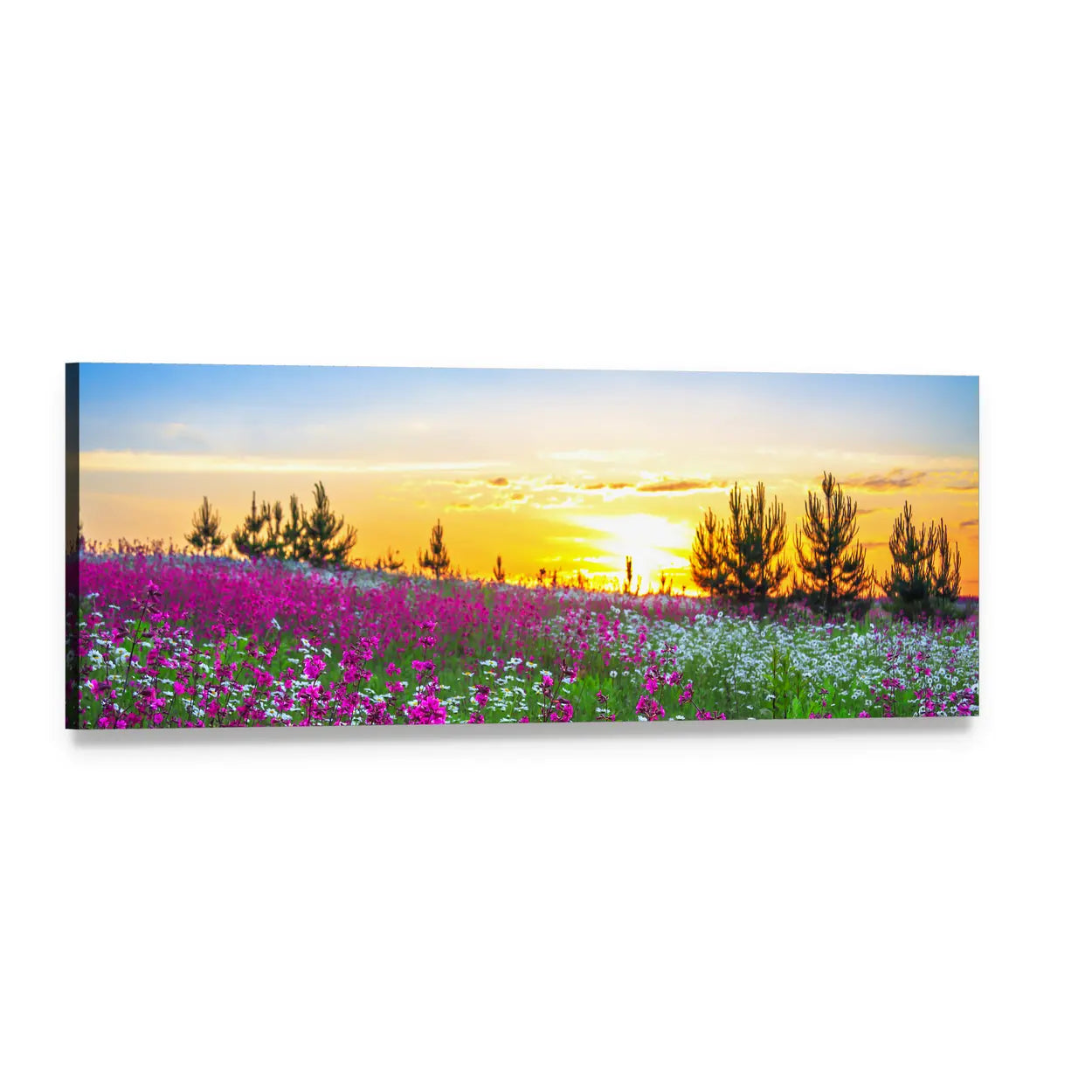 Golden Hour Wildflower Meadow Panoramic Canvas Wall Art, single panel gallery wrapped canvas, angled product view