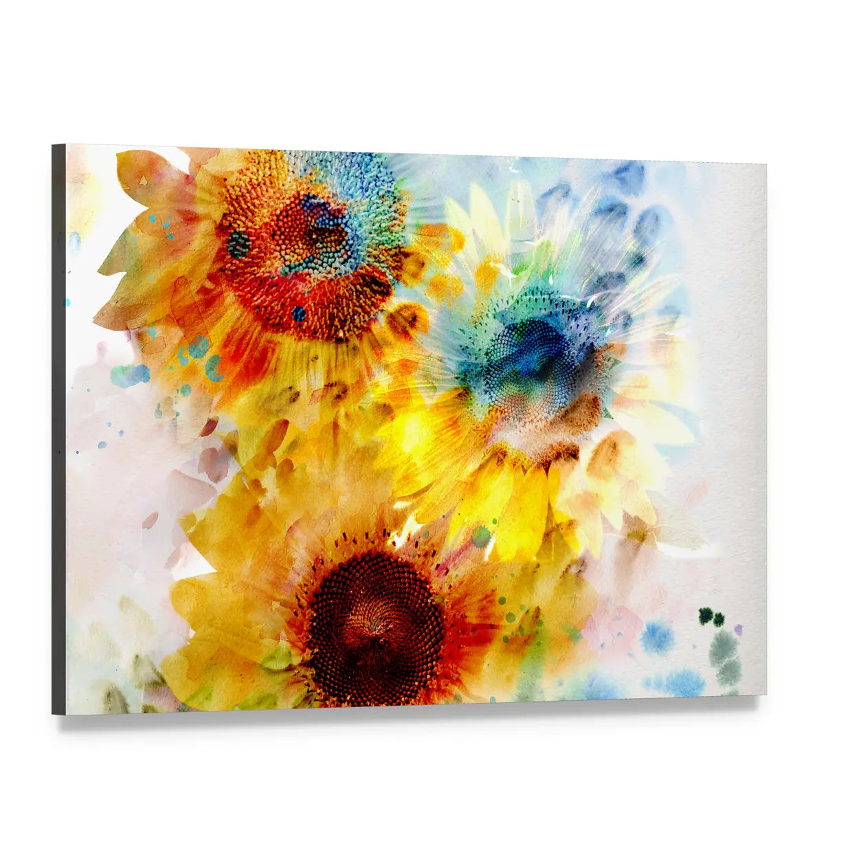 Watercolor Sunflowers Close-up Canvas Wall Art, single panel gallery wrapped canvas, angled product view