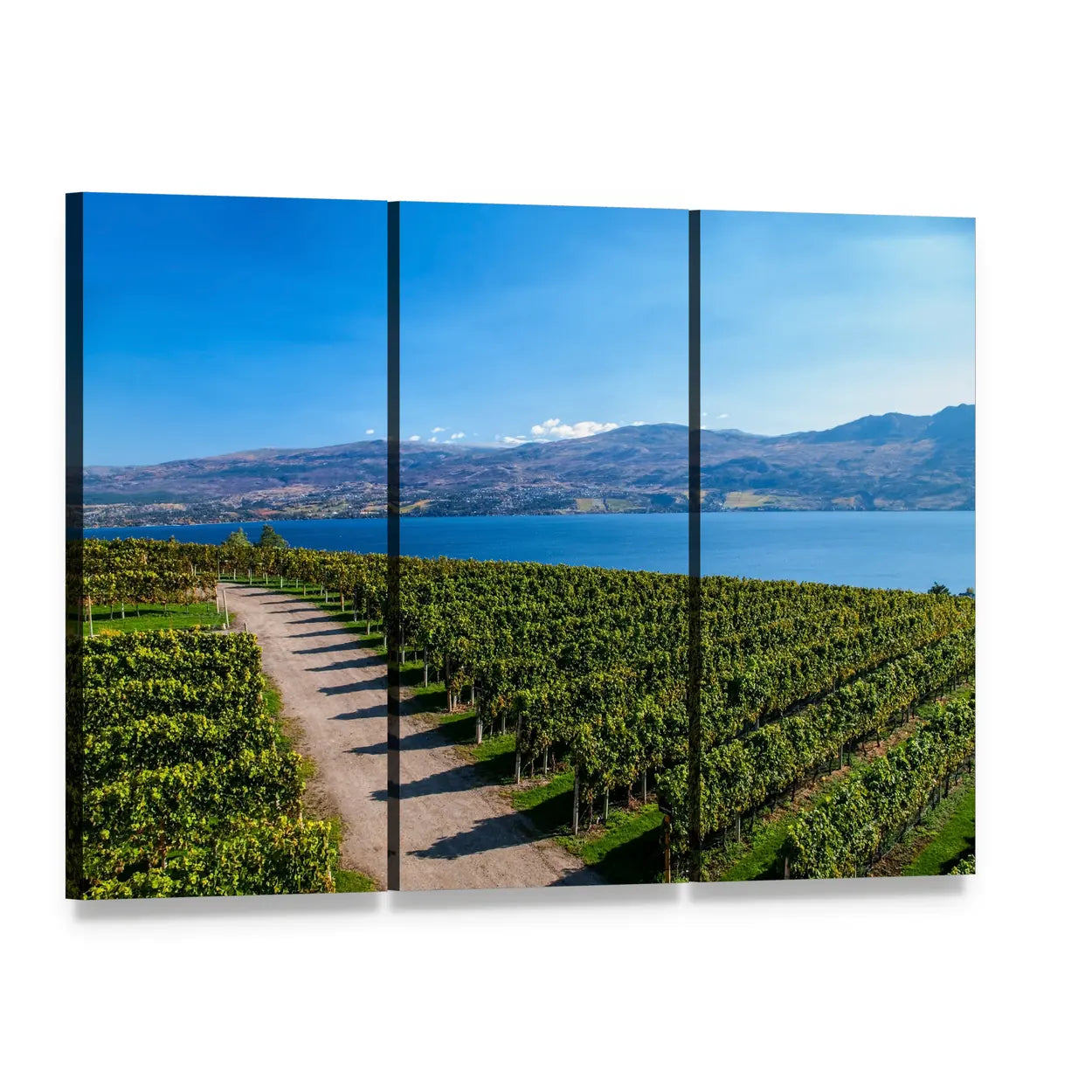 Mission Hill Vineyard Over Lake Okanagan Canvas Wall Art, 3 panel 3 Horizontal layout gallery wrapped canvas set, angled product view