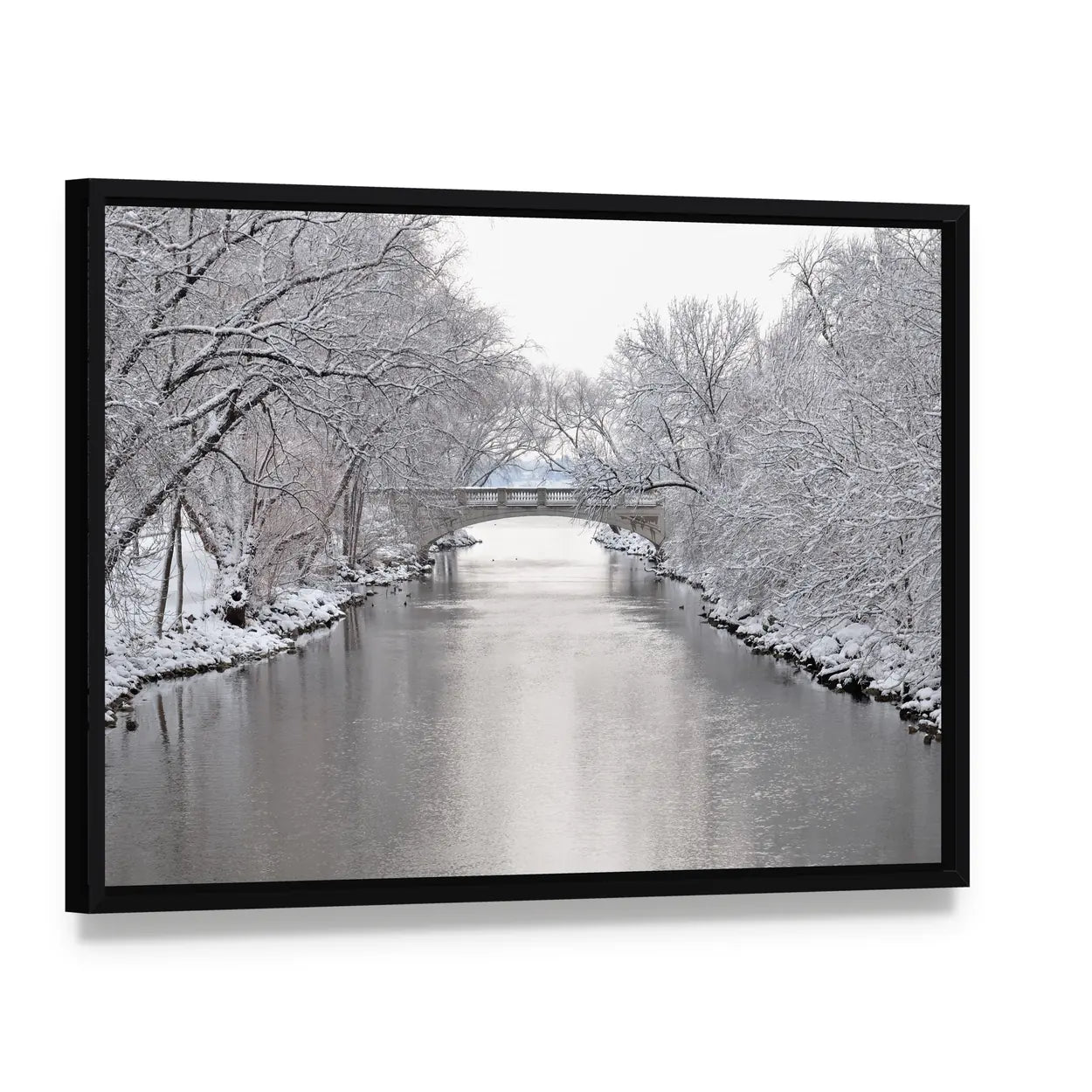 Yahara River In Madison Wisconsin Canvas Wall Art, framed canvas in a black floater frame, angled product view