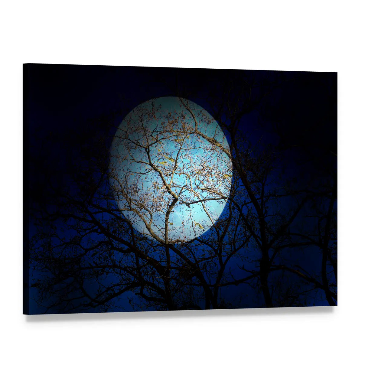 Bare Tree Under Full Moon Canvas Wall Art, single panel gallery wrapped canvas, angled product view