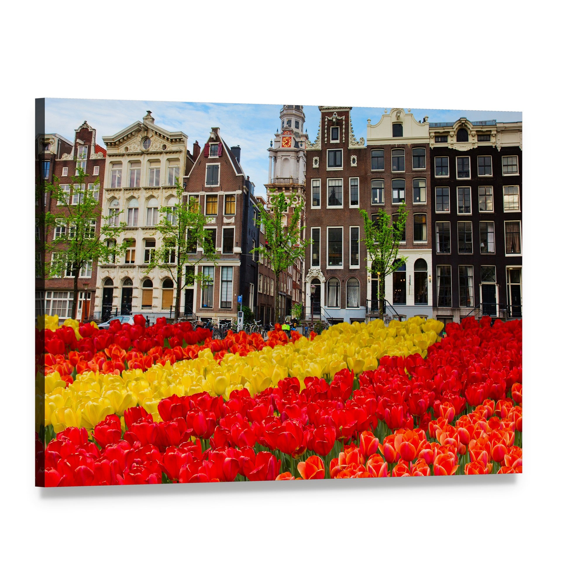 Tulips and Canal Houses in Amsterdam Canvas Wall Art, single panel gallery wrapped canvas, angled product view