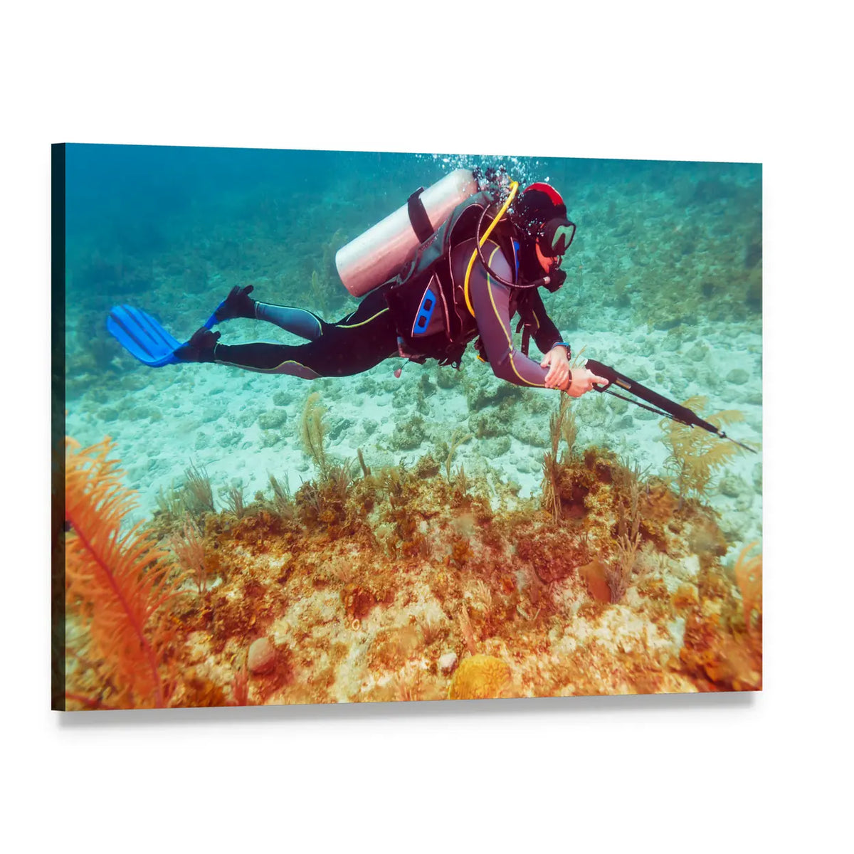 Scuba Diver with Speargun Over Coral Reef Canvas Wall Art, single panel gallery wrapped canvas, angled product view
