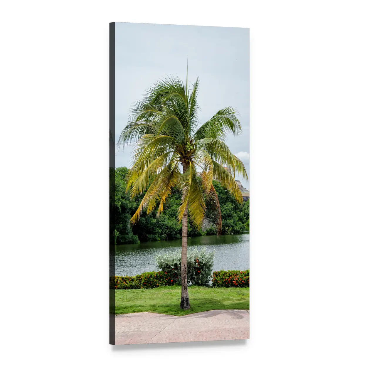 Cartagena Palm Tree Over Water Vertical Canvas Wall Art, 1 panel 1 Vertical layout gallery wrapped canvas set, angled product view