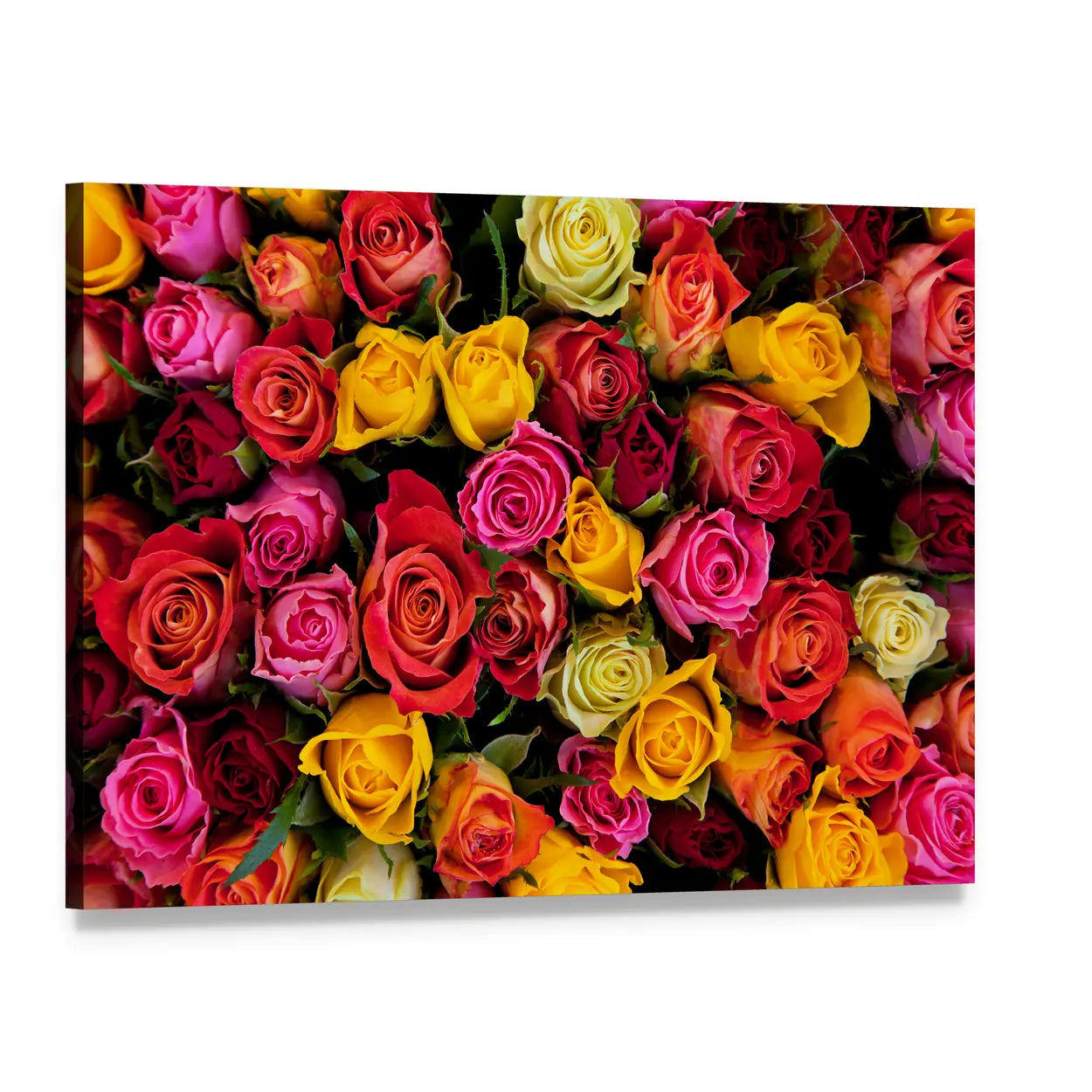 Colorful Roses Bouquet Canvas Wall Art, single panel gallery wrapped canvas, angled product view