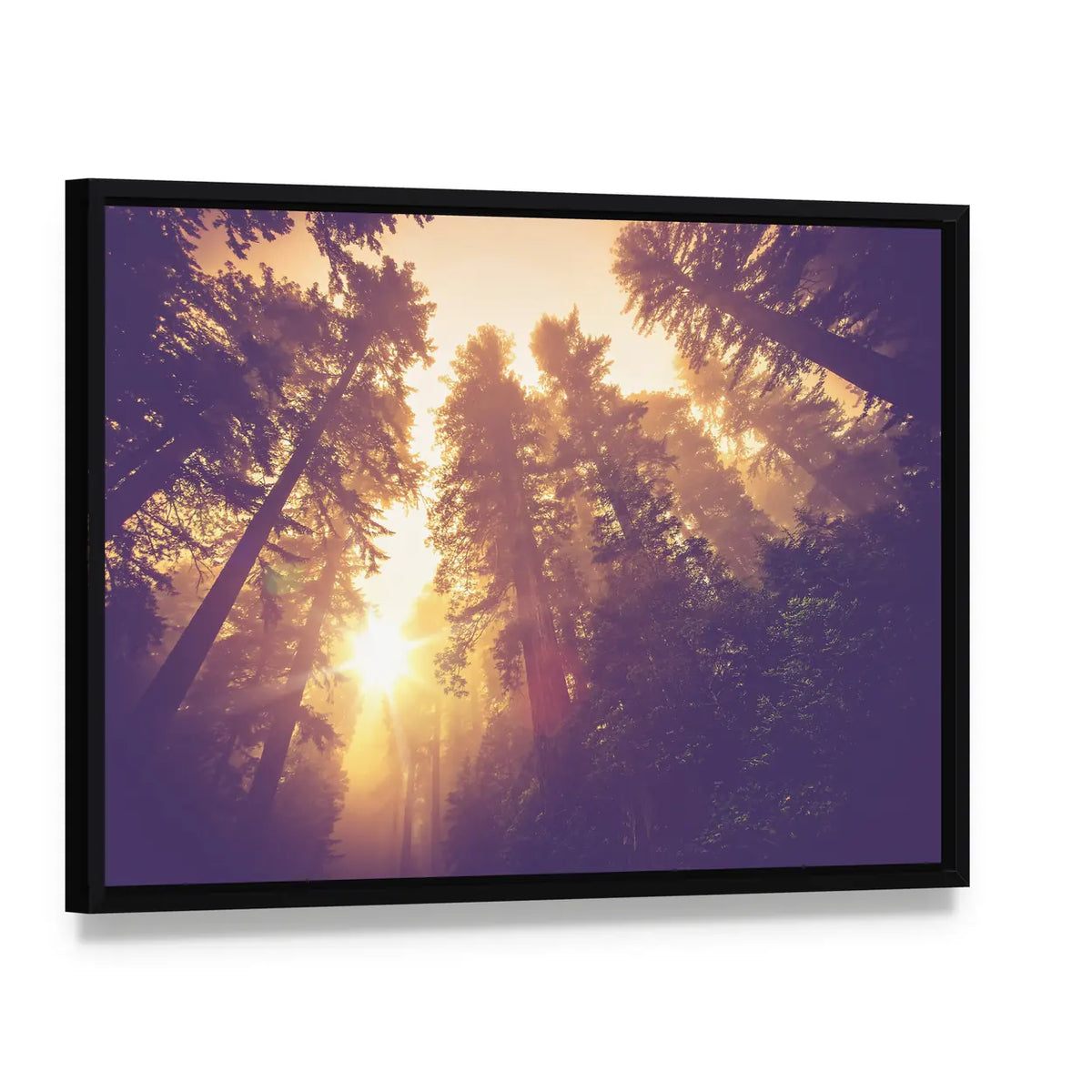 Warm Vintage Redwood Forest Canvas Wall Art, framed canvas in a black floater frame, angled product view