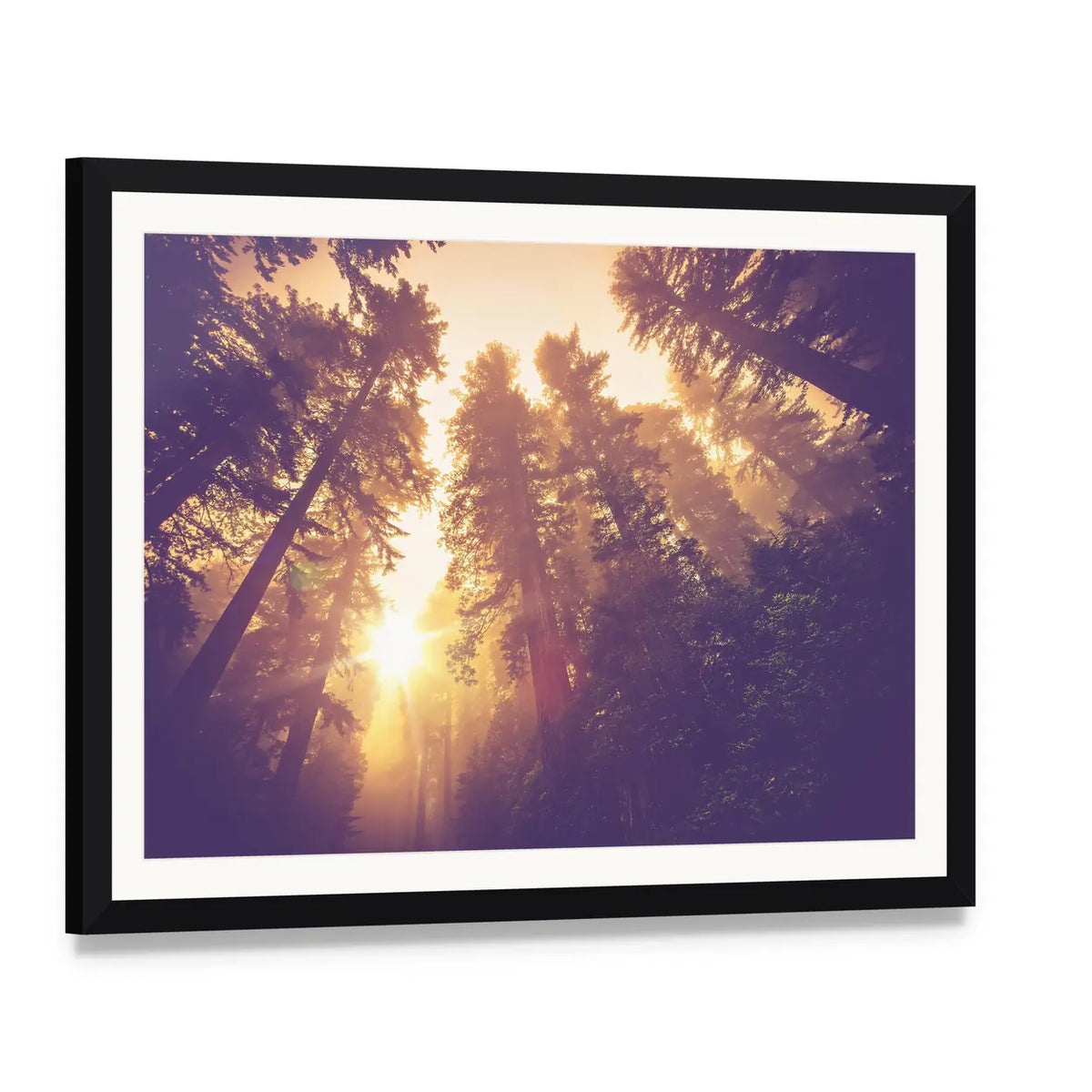 Warm Vintage Redwood Forest Canvas Wall Art, framed print with white mat and black frame, angled product view