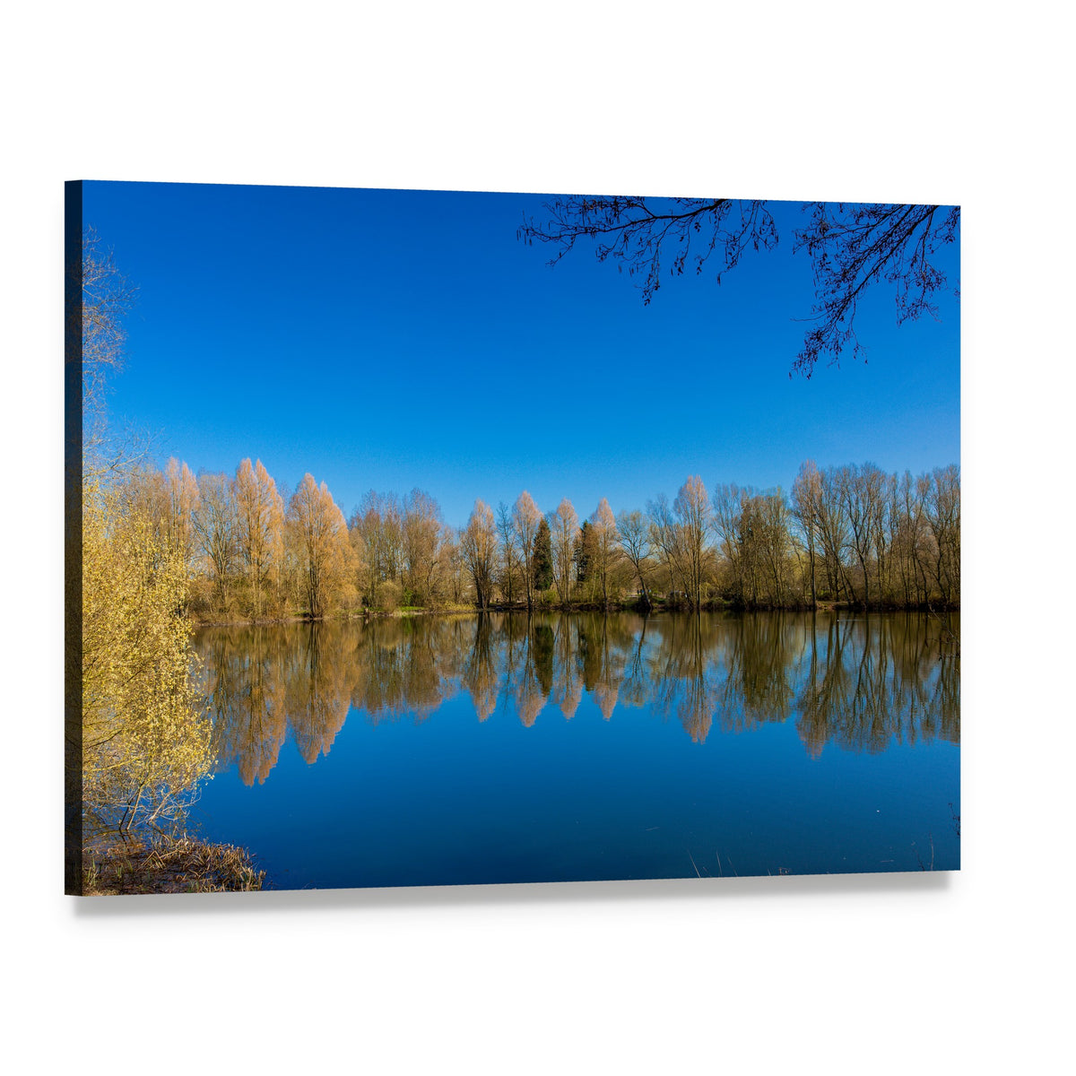 Barnwell Country Park Lake Reflection Canvas Wall Art, single panel gallery wrapped canvas, angled product view