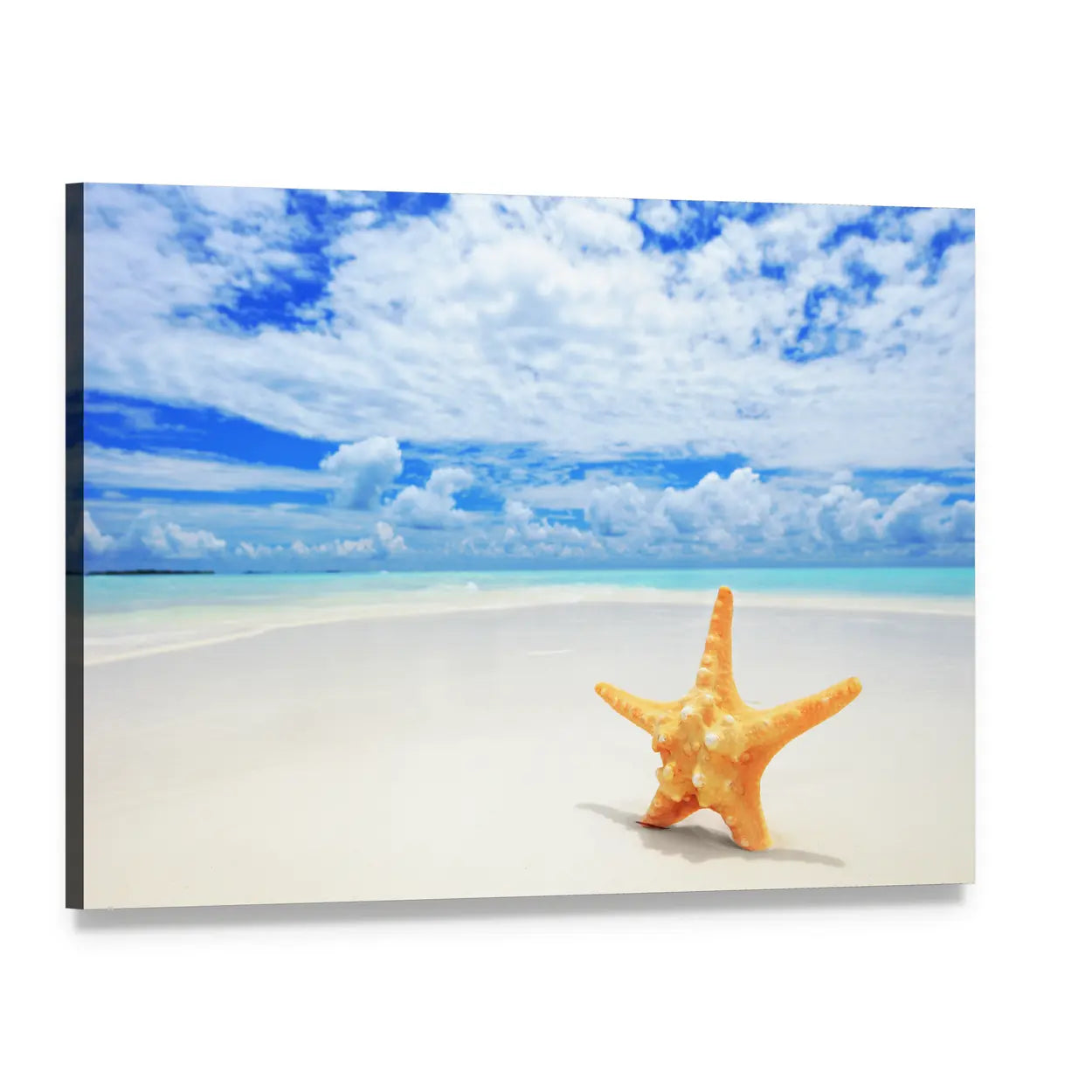 Starfish on Kuredu Island Beach Canvas Wall Art, single panel gallery wrapped canvas, angled product view