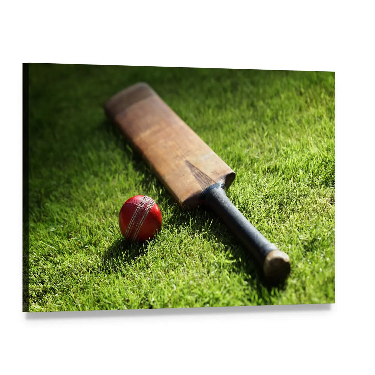 Cricket Bat with Red Ball on Grass Canvas Wall Art, single panel gallery wrapped canvas, angled product view
