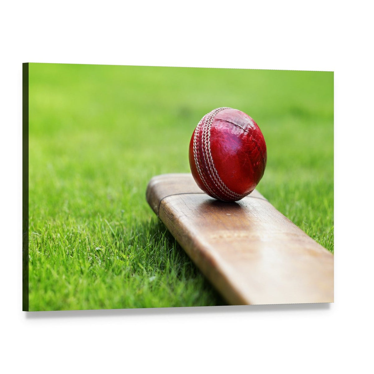 Cricket Ball on Bat Canvas Wall Art, single panel gallery wrapped canvas, angled product view