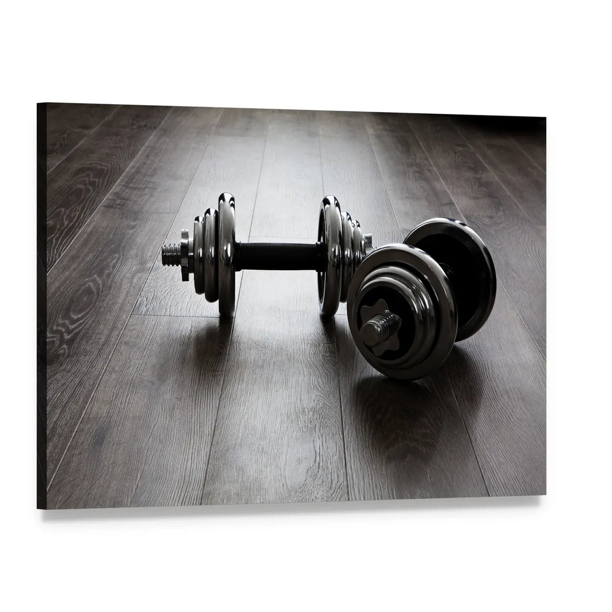 Two Chrome Dumbbells on Wood Floor Canvas Wall Art, single panel gallery wrapped canvas, angled product view