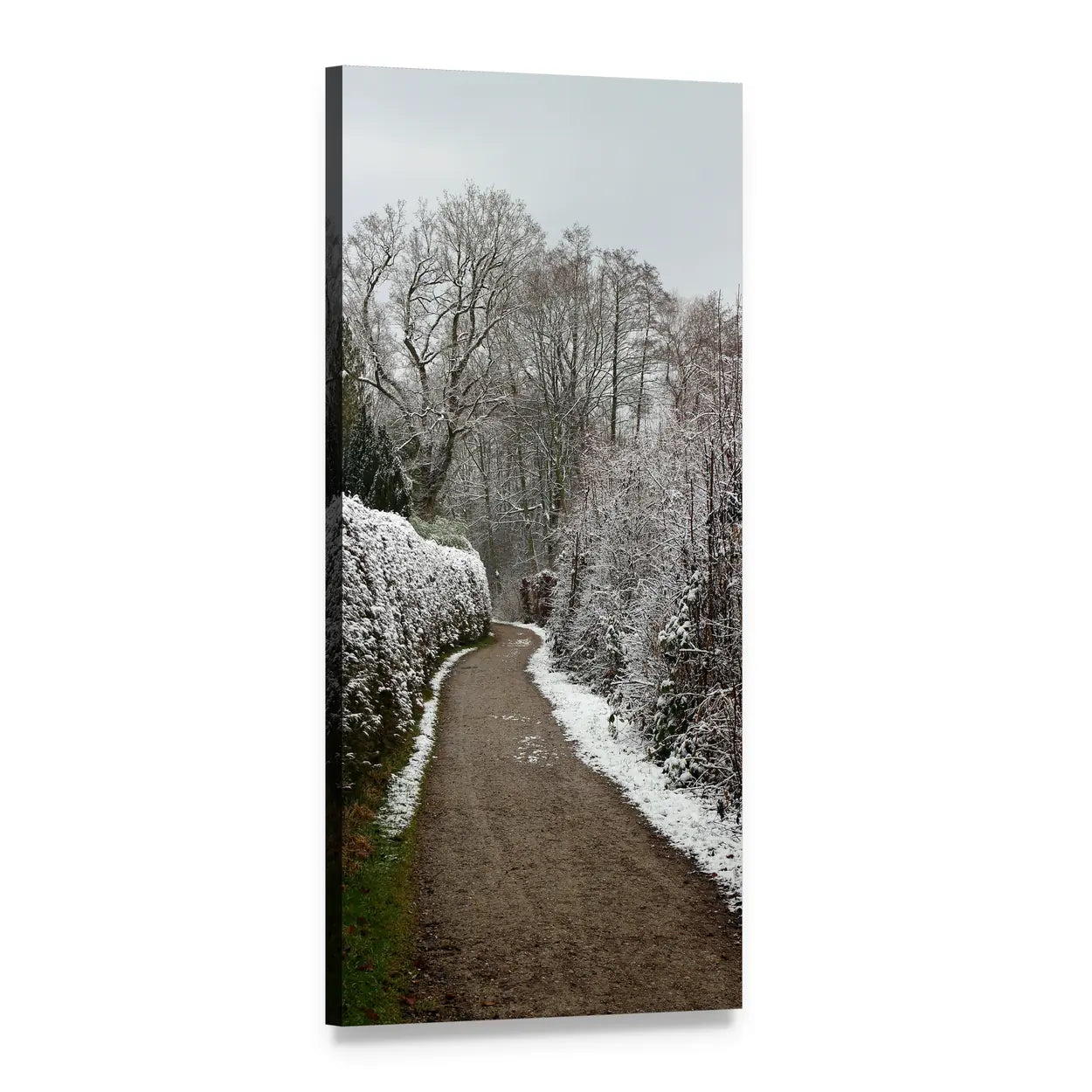 Winter Path Through Snowy Trees Vertical Canvas Wall Art, 1 panel 1 Vertical layout gallery wrapped canvas set, angled product view