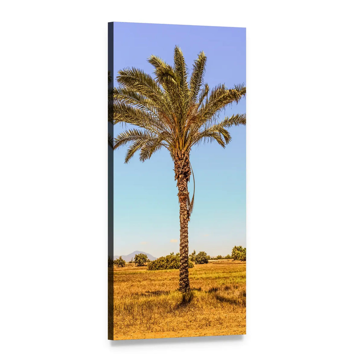 Palm Tree in Golden Field Vertical Canvas Wall Art, 1 panel 1 Vertical layout gallery wrapped canvas set, angled product view