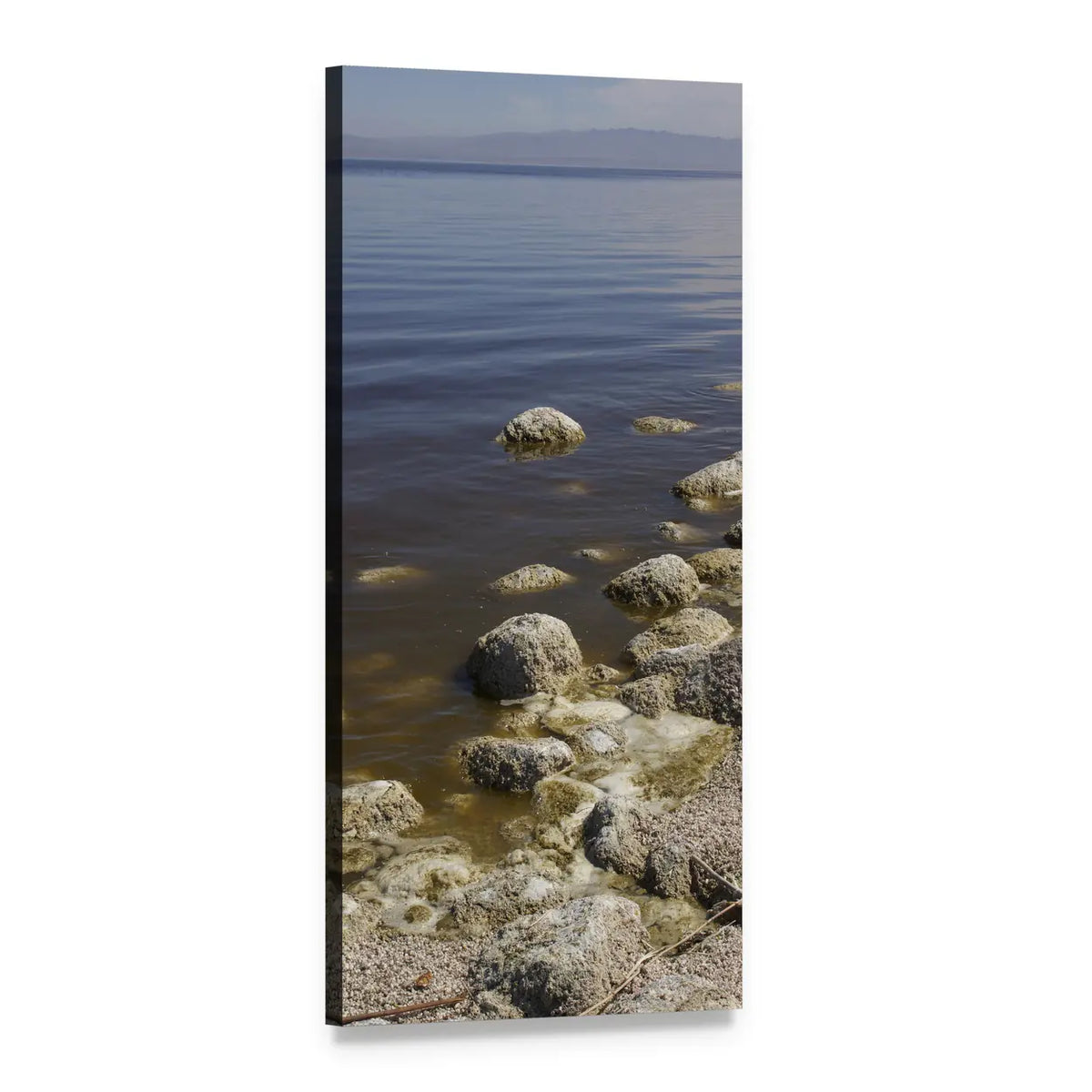 Salton Sea Shoreline Vertical Canvas Wall Art, 1 panel 1 Vertical layout gallery wrapped canvas set, angled product view