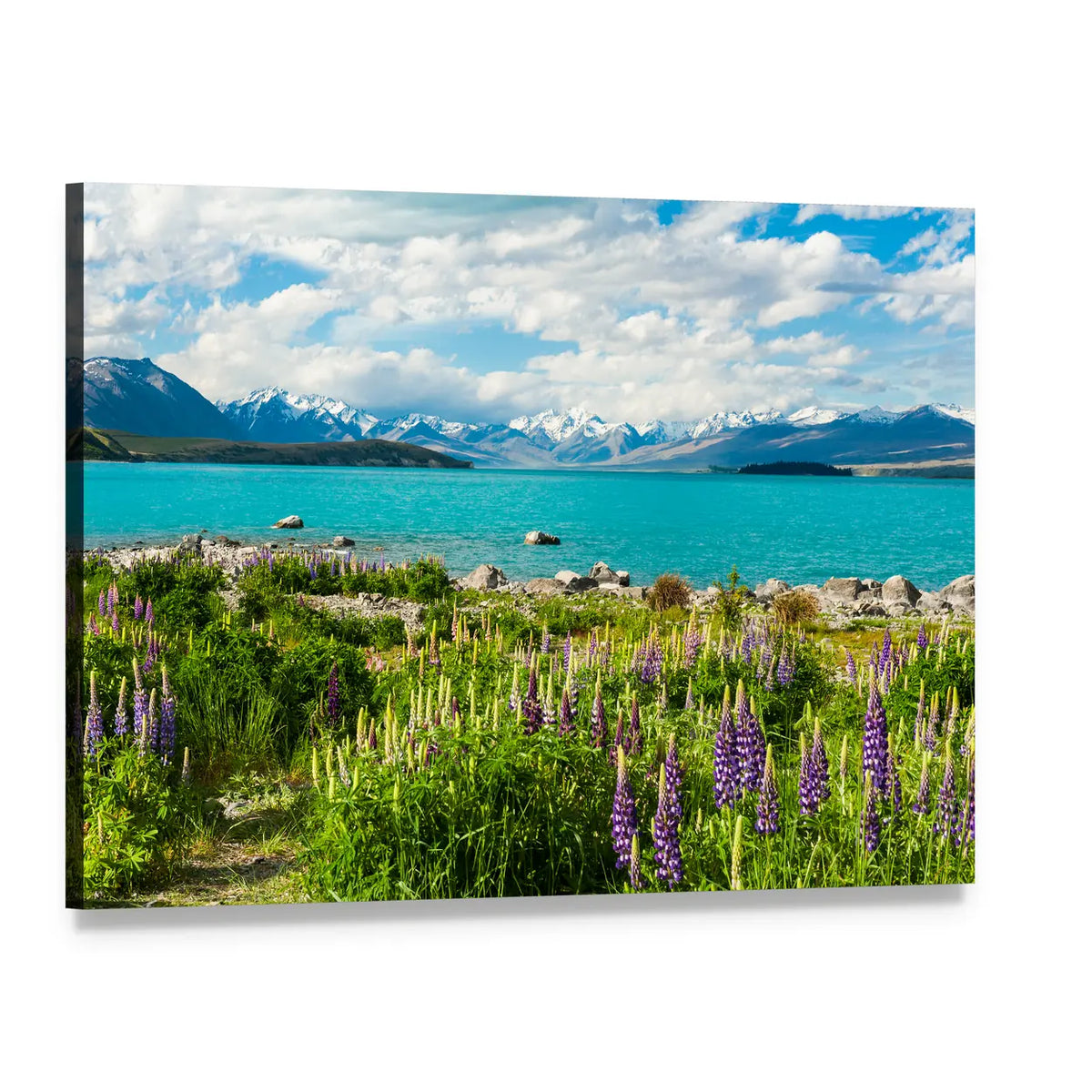 Lake Tekapo Lupine and Turquoise Lake Canvas Wall Art, single panel gallery wrapped canvas, angled product view