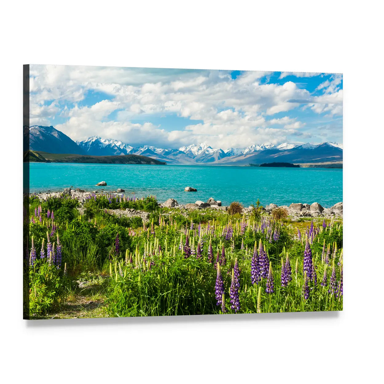 Lake Tekapo Lupine and Turquoise Lake Canvas Wall Art, single panel gallery wrapped canvas, angled product view