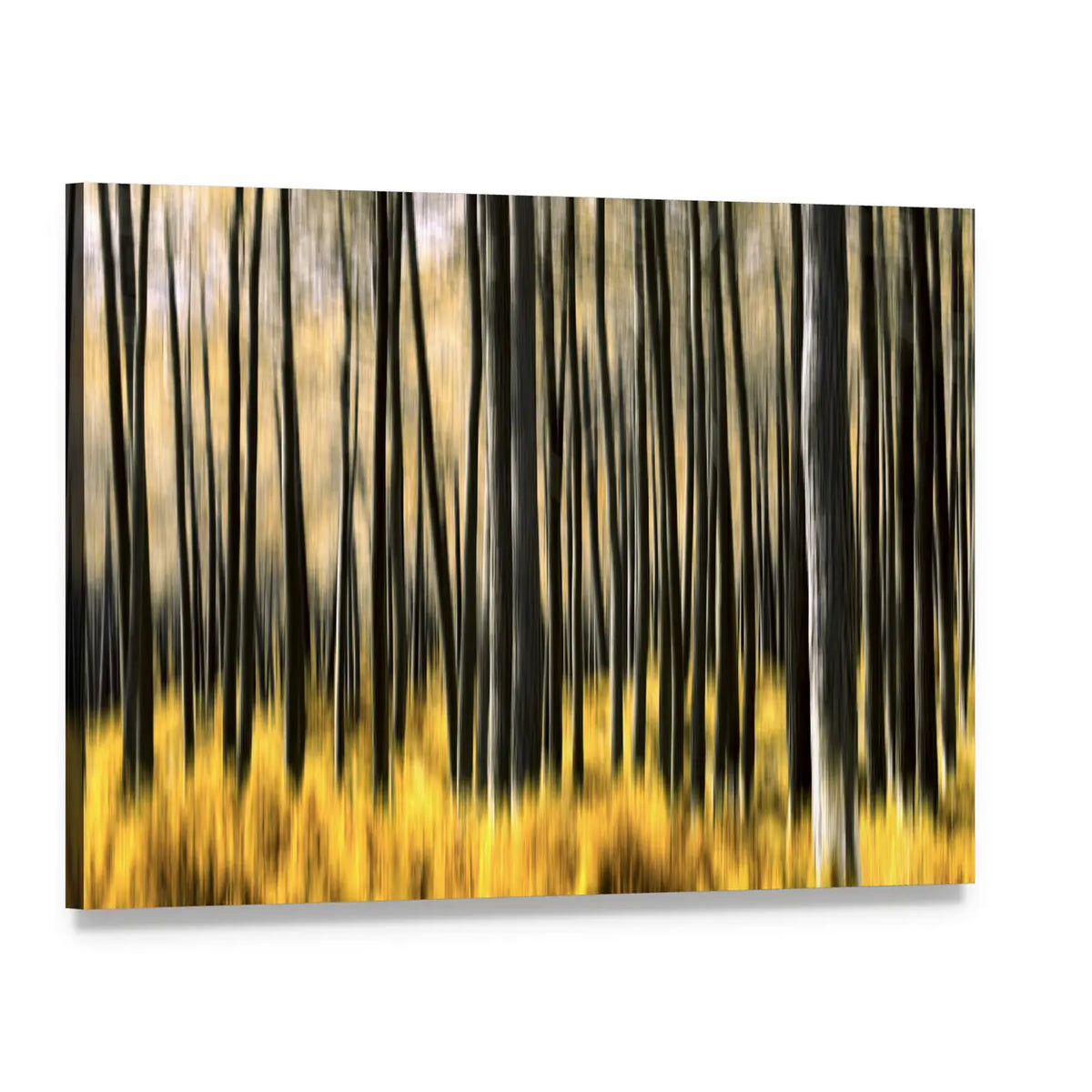 Motion Blur Forest Canvas Wall Art, single panel gallery wrapped canvas, angled product view